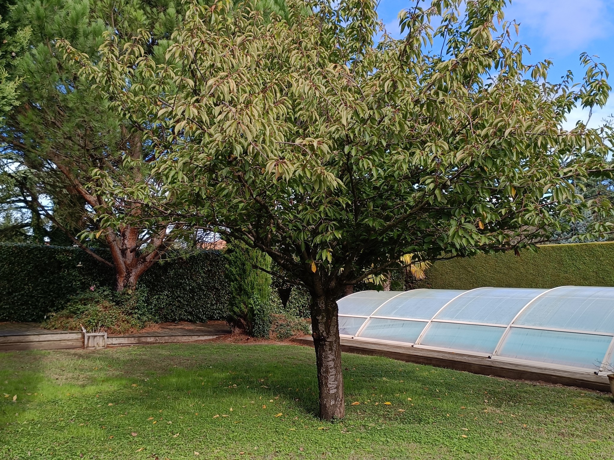 Vente Maison à Roussillon 5 pièces