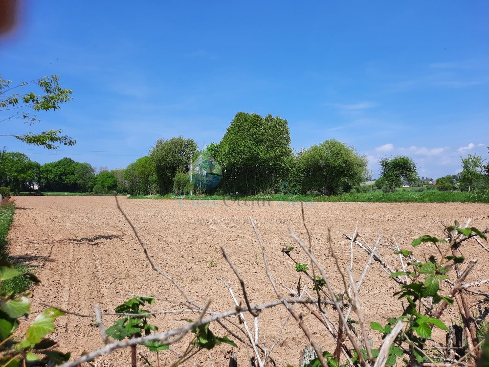 Vente Terrain à Grandparigny 0 pièce