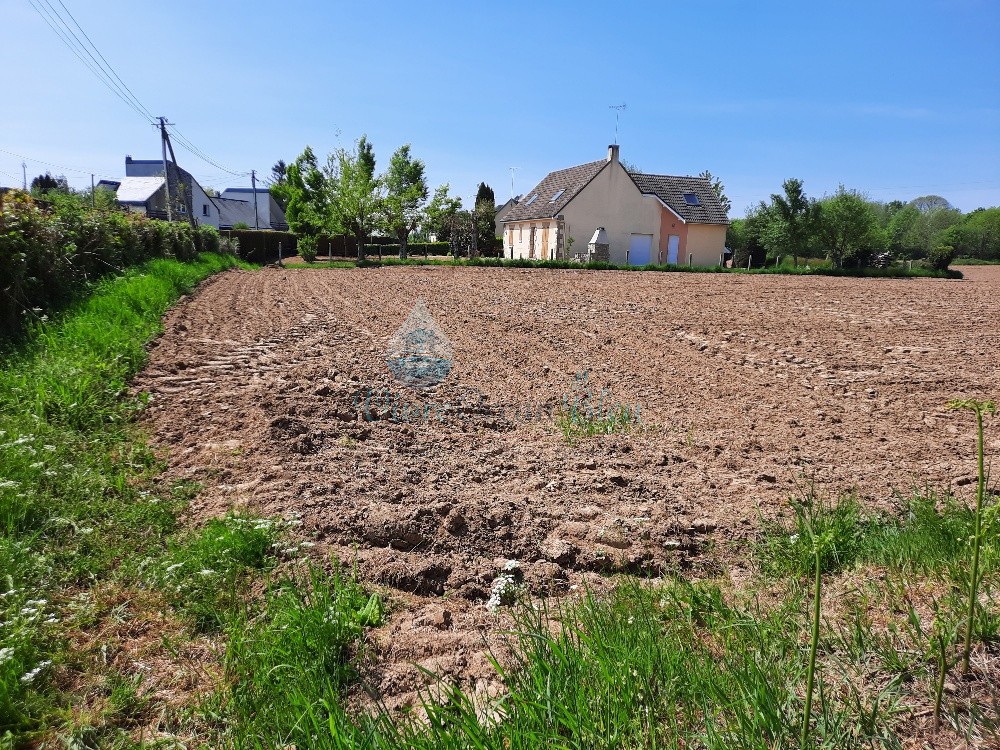 Vente Terrain à Grandparigny 0 pièce