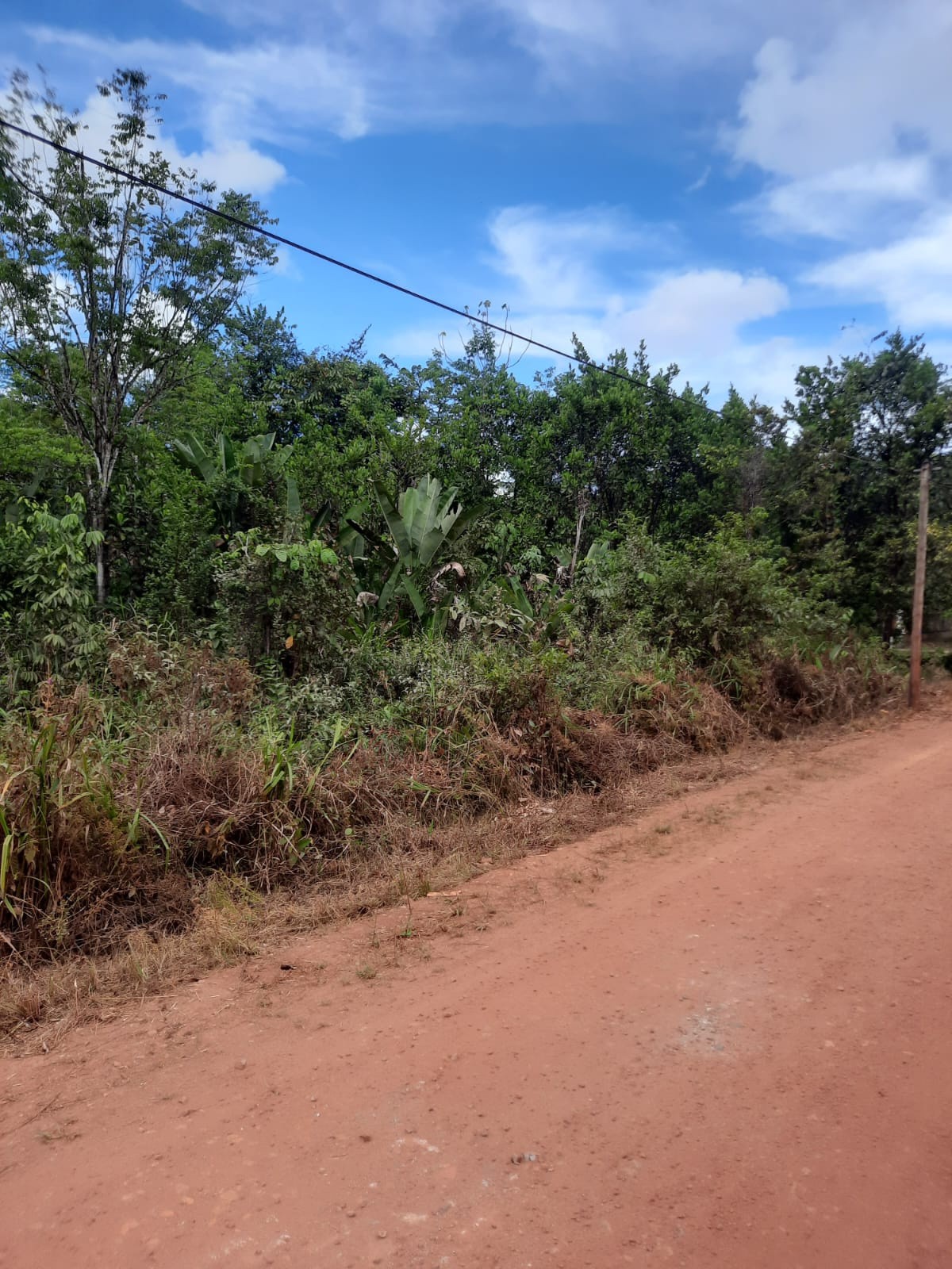 Vente Terrain à Roura 0 pièce