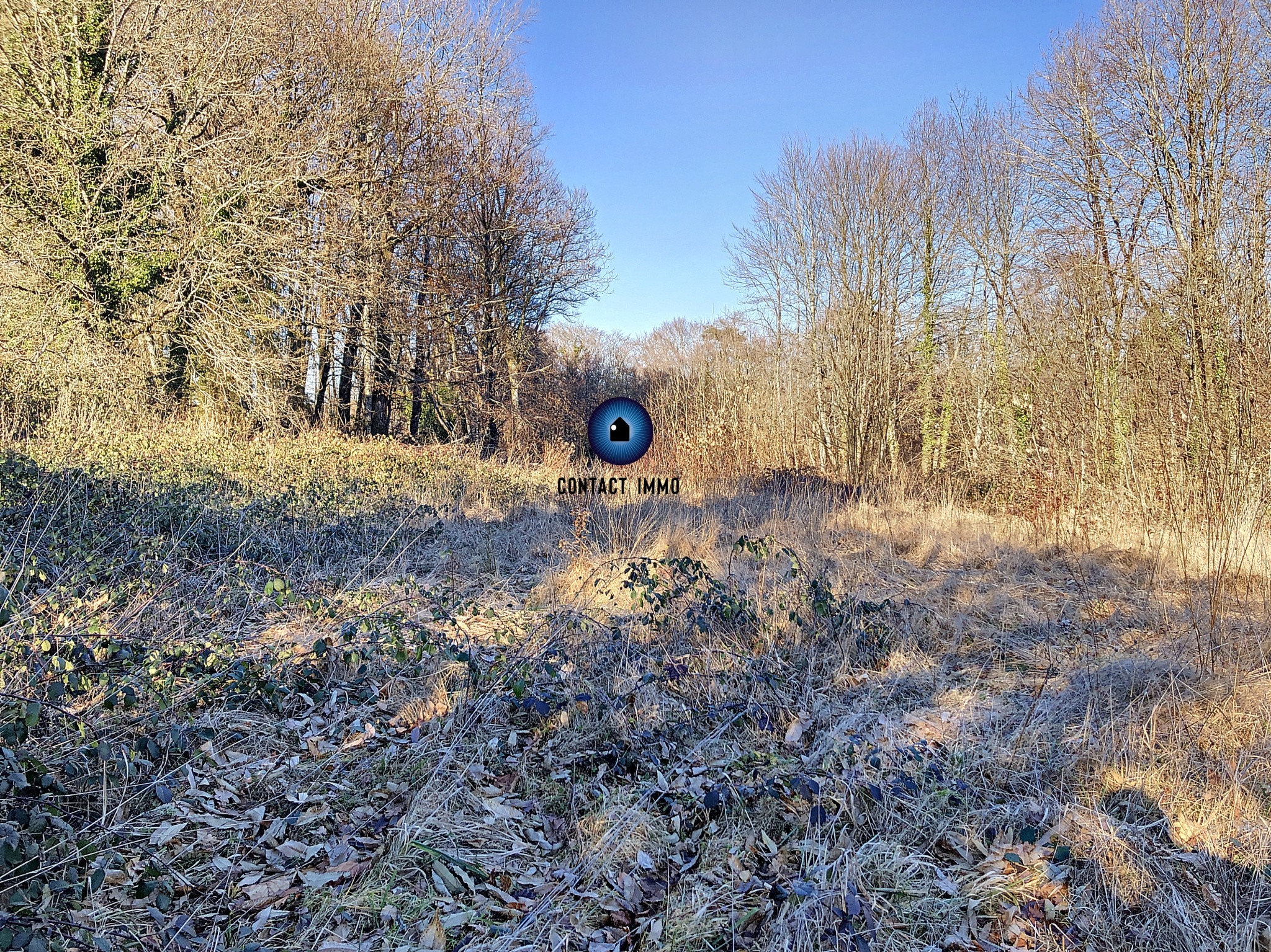 Vente Terrain à Beynat 0 pièce