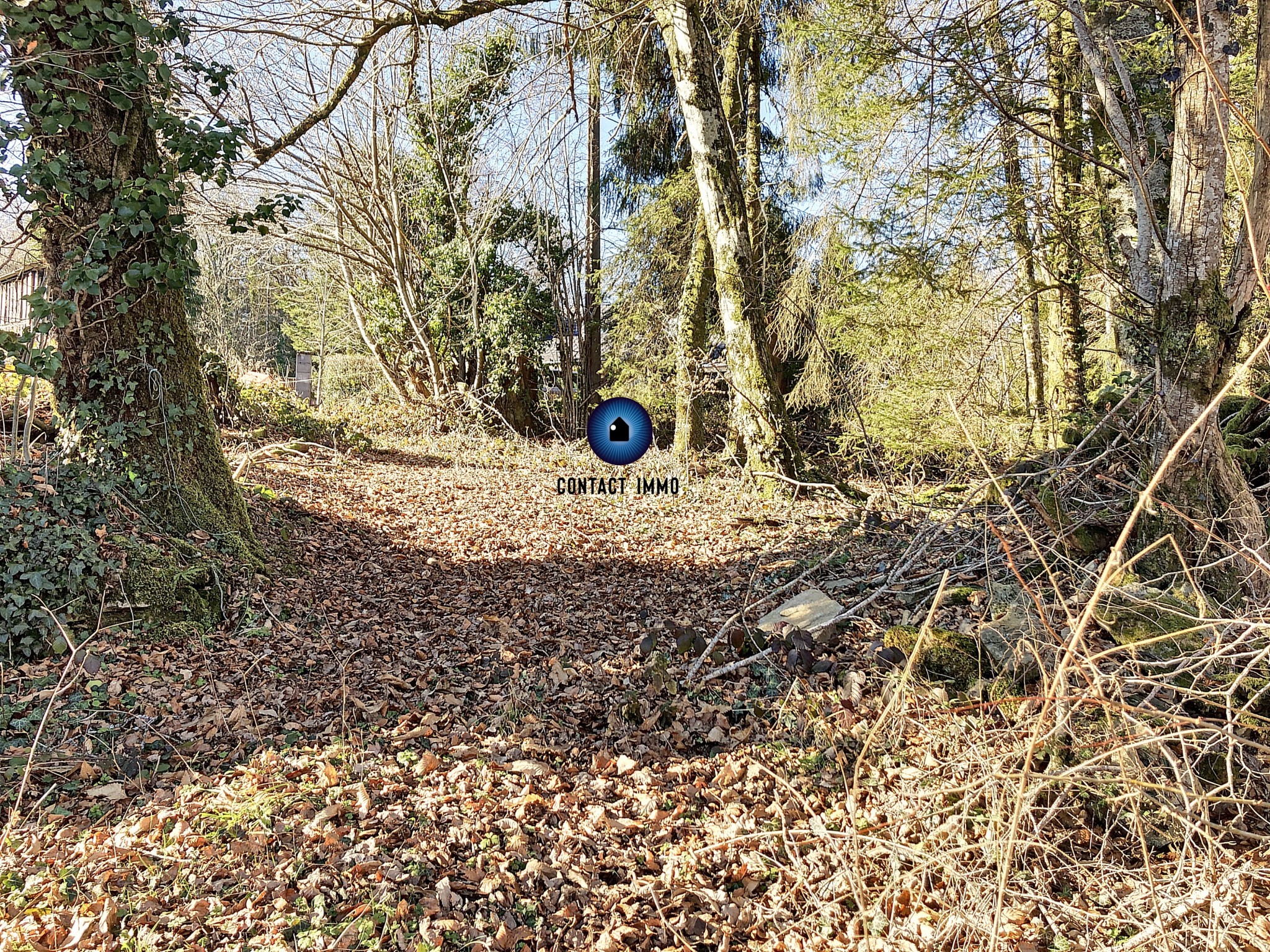 Vente Terrain à Beynat 0 pièce