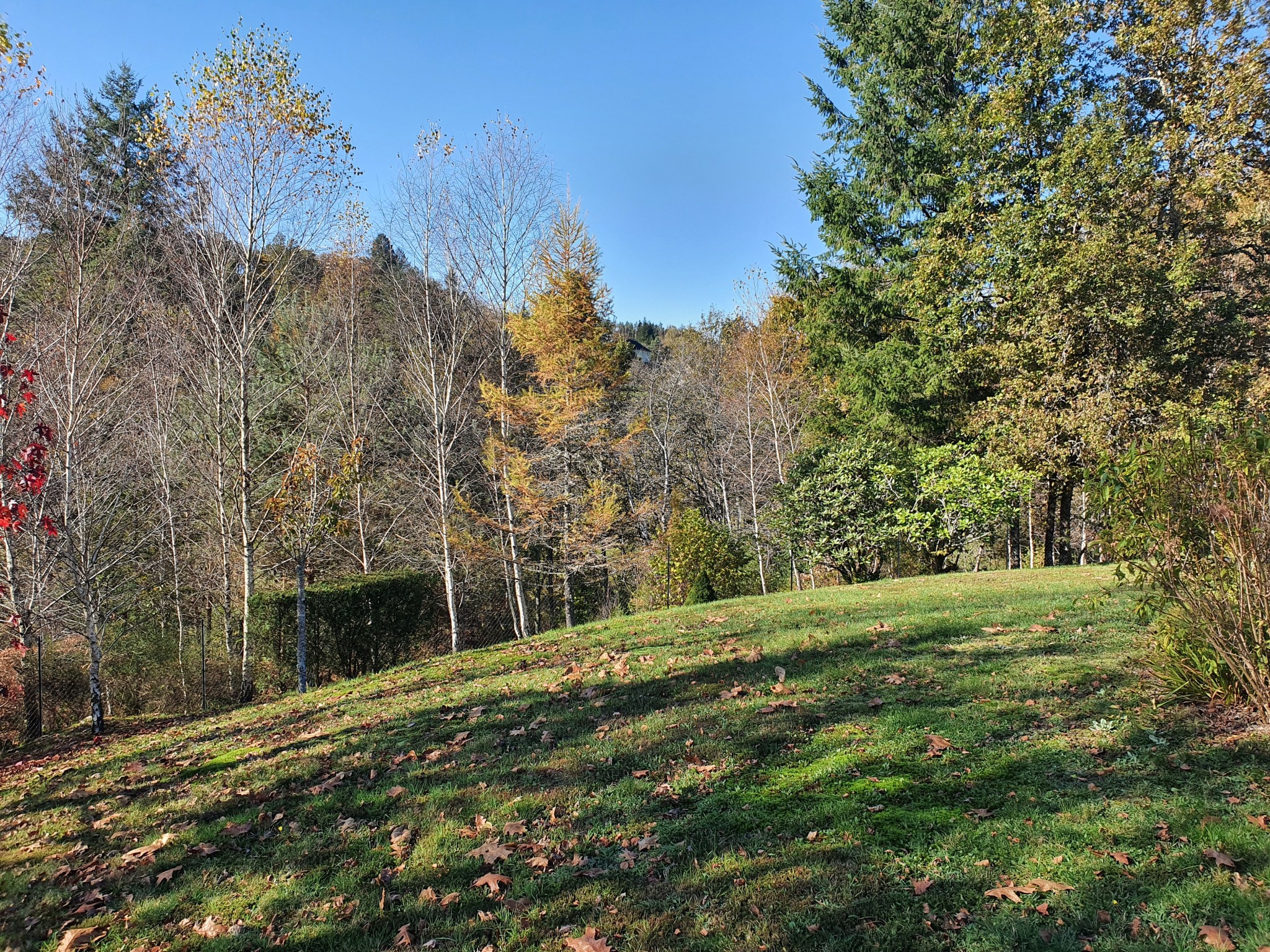 Vente Maison à Vitrac-sur-Montane 5 pièces