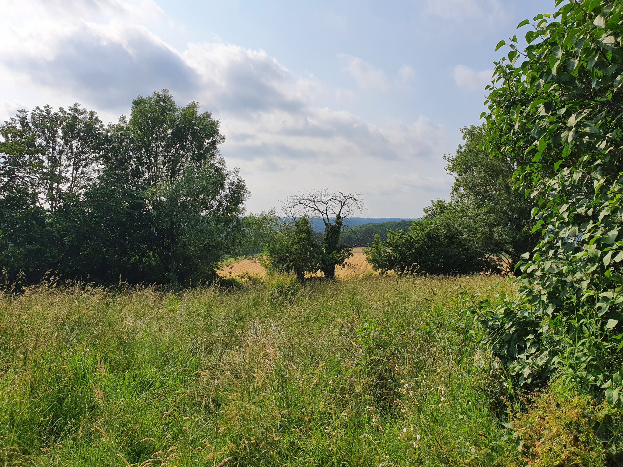 Vente Maison à Bassignac-le-Haut 4 pièces