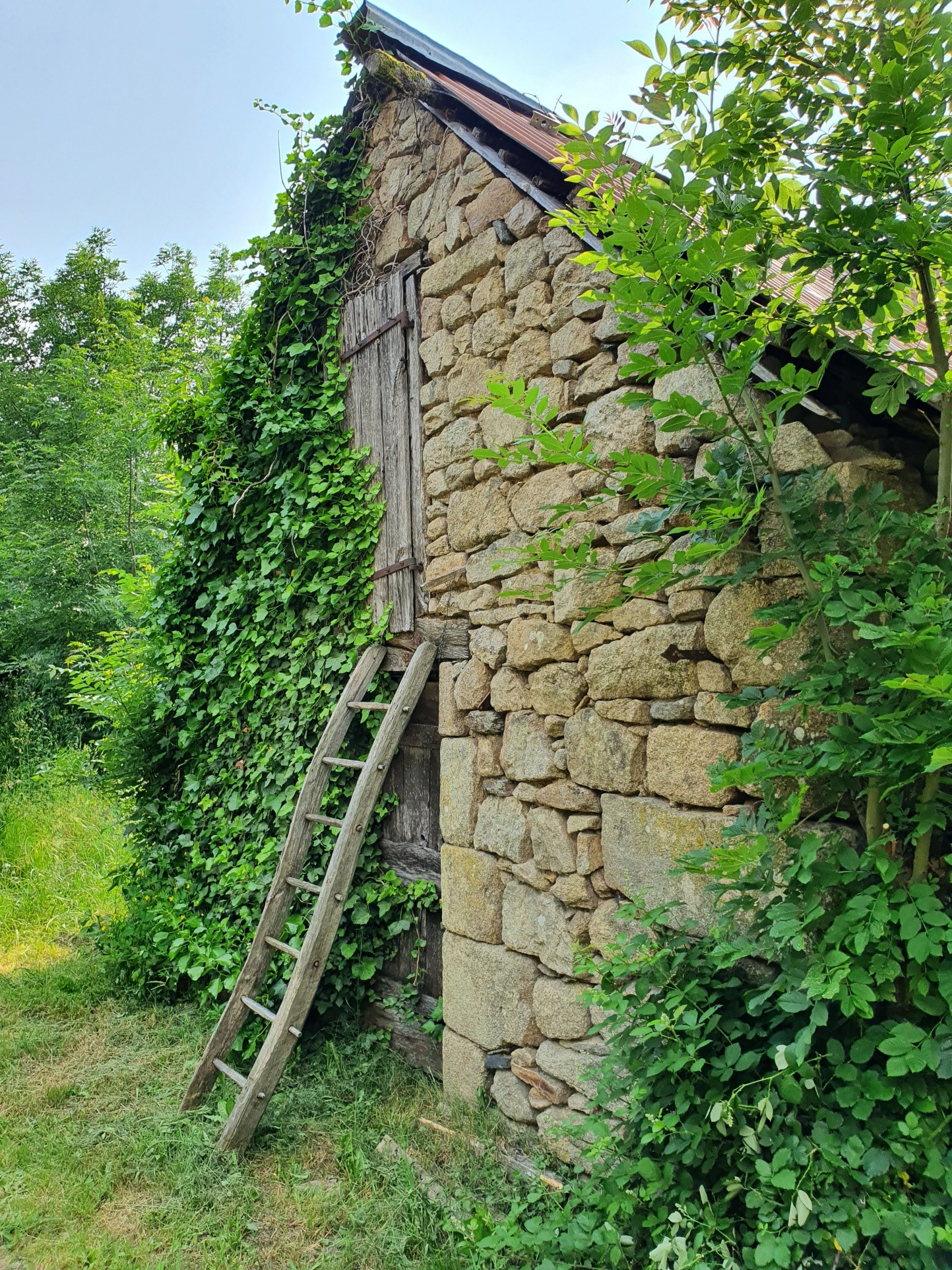 Vente Maison à Bassignac-le-Haut 4 pièces