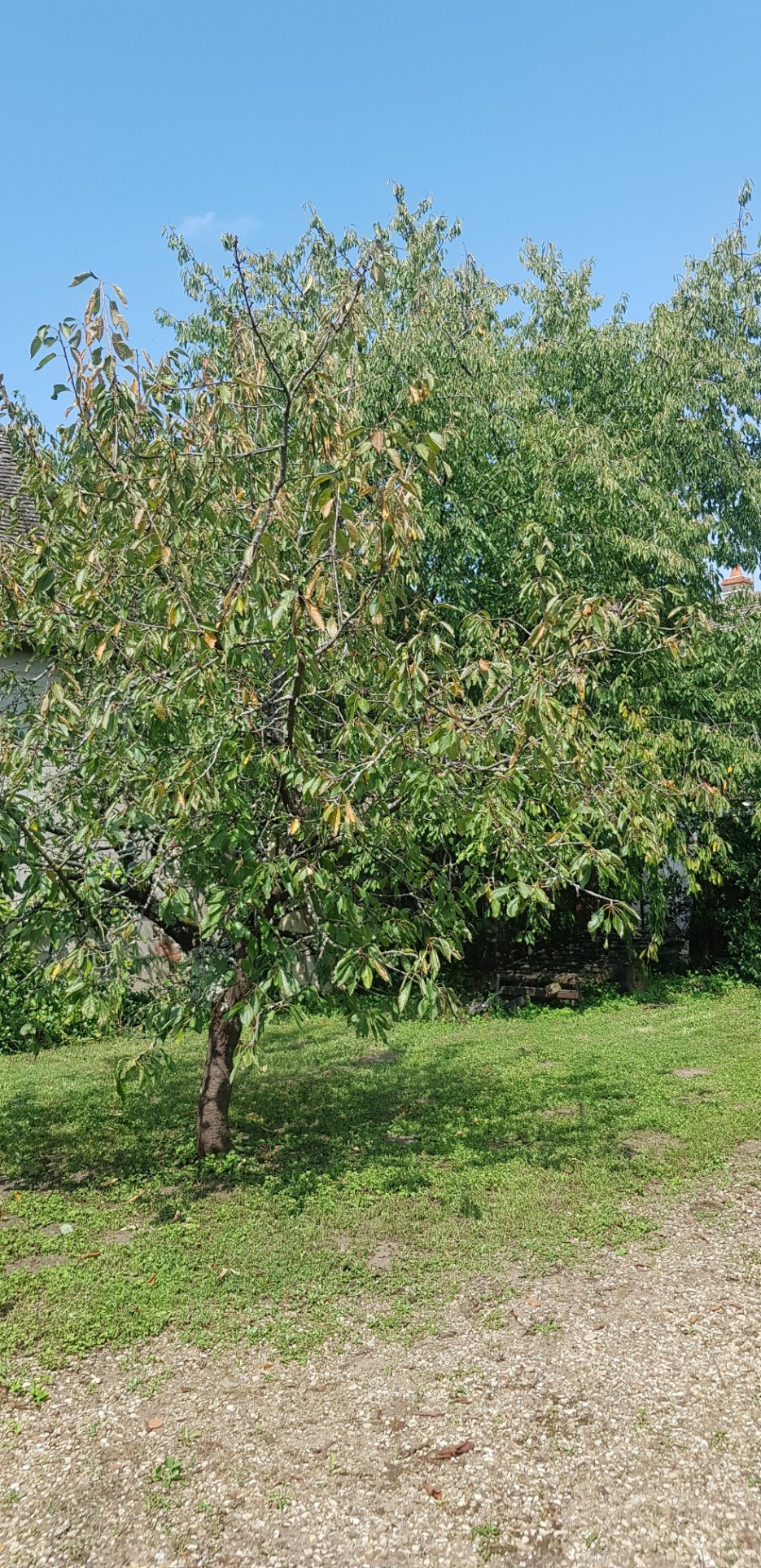 Vente Maison à Verdun-sur-le-Doubs 3 pièces