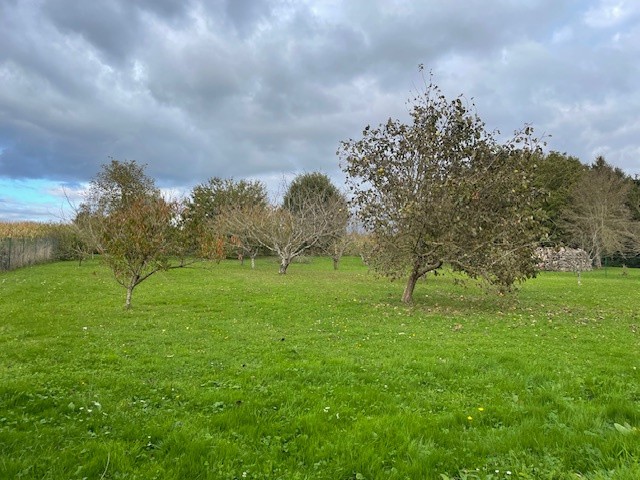 Vente Maison à Verdun-sur-le-Doubs 5 pièces