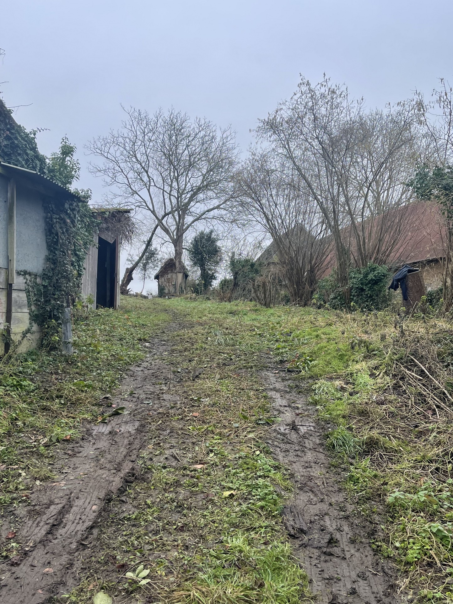 Vente Terrain à Cambremer 0 pièce