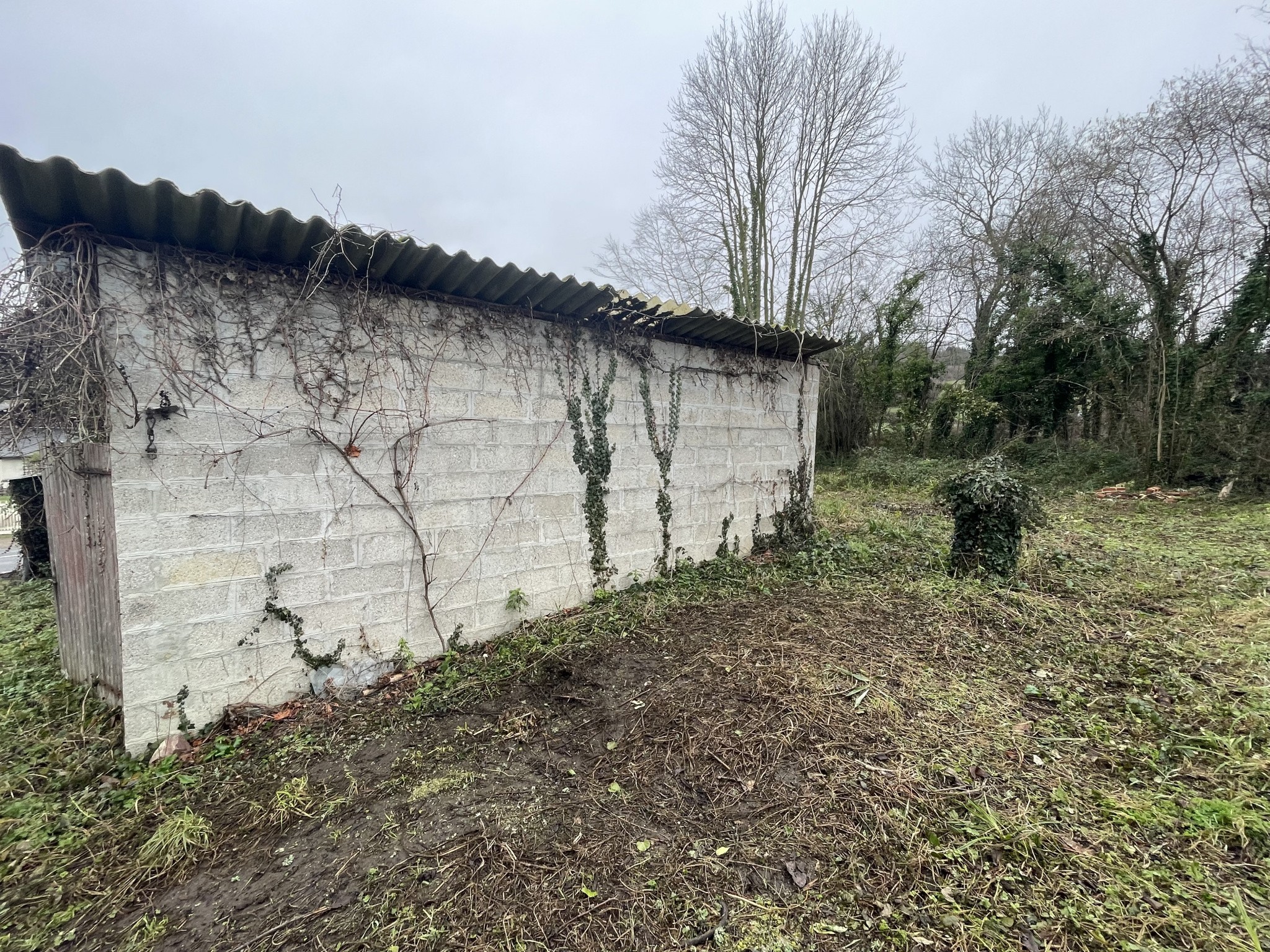 Vente Terrain à Cambremer 0 pièce