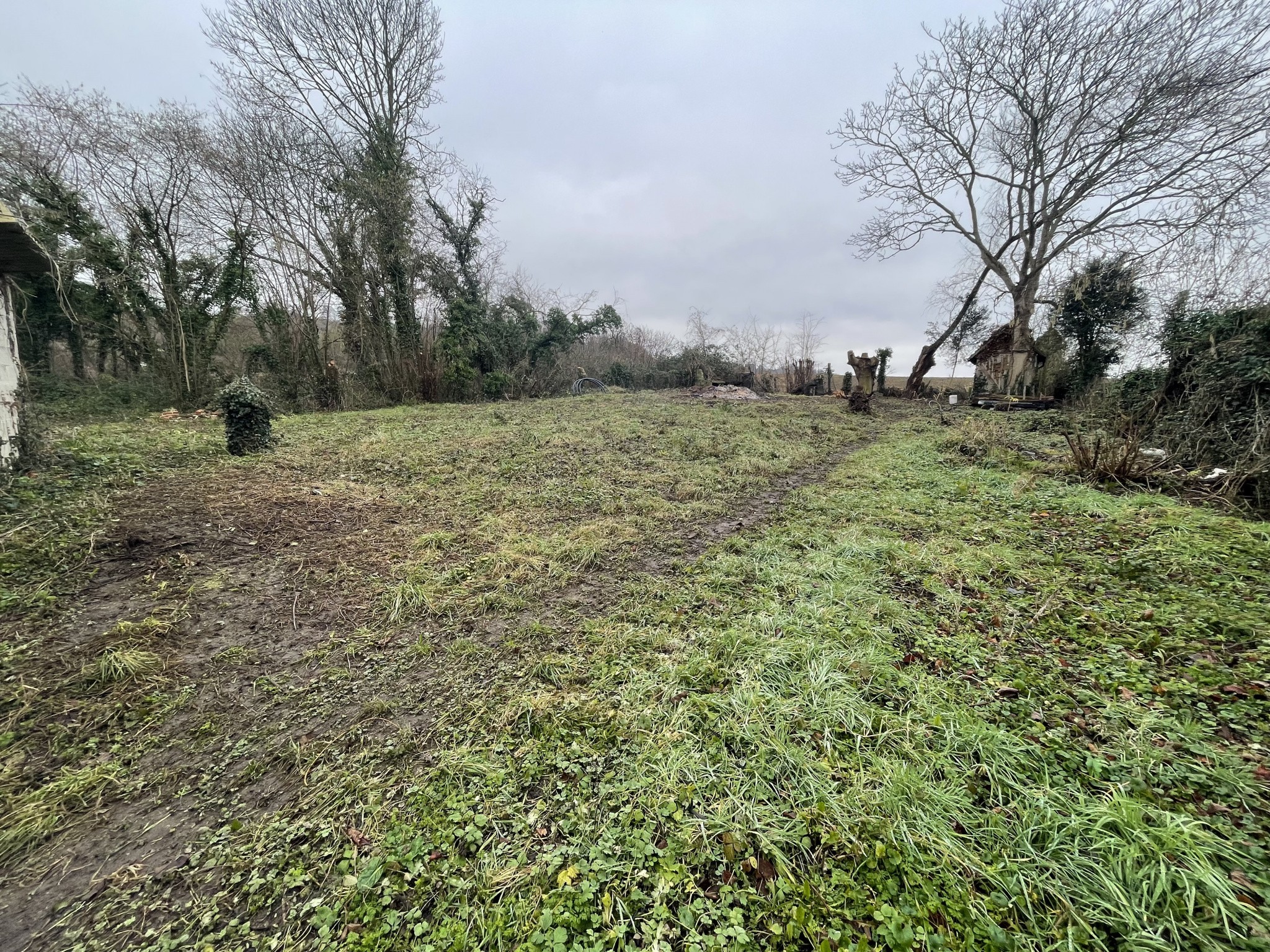 Vente Terrain à Cambremer 0 pièce