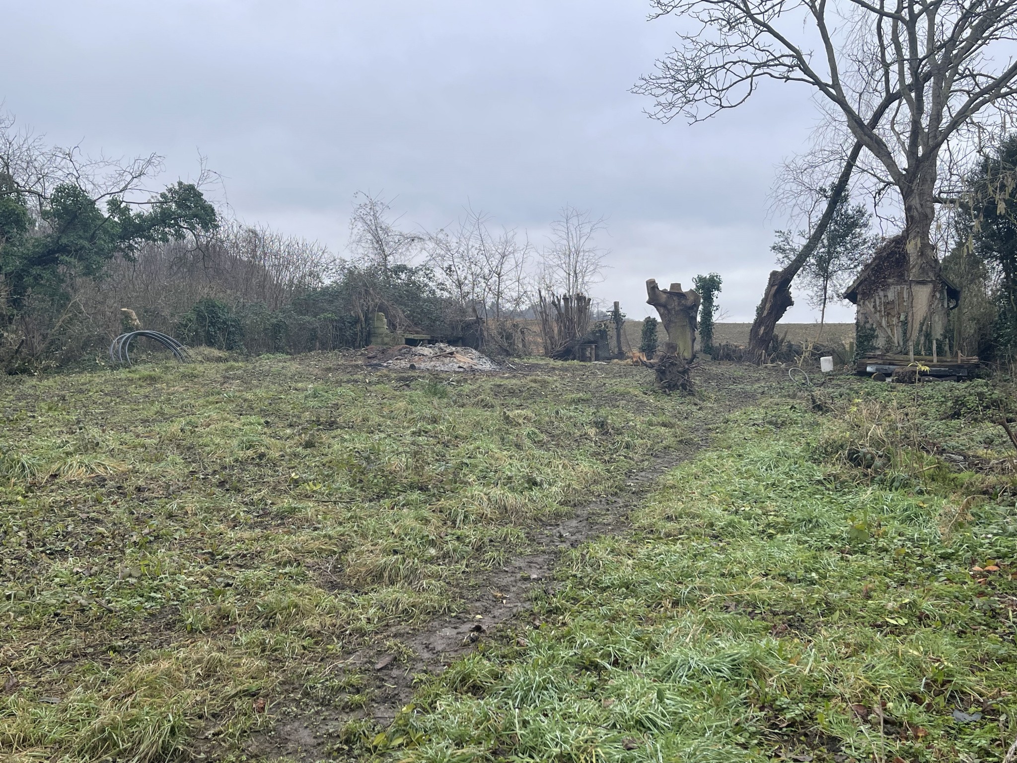 Vente Terrain à Cambremer 0 pièce