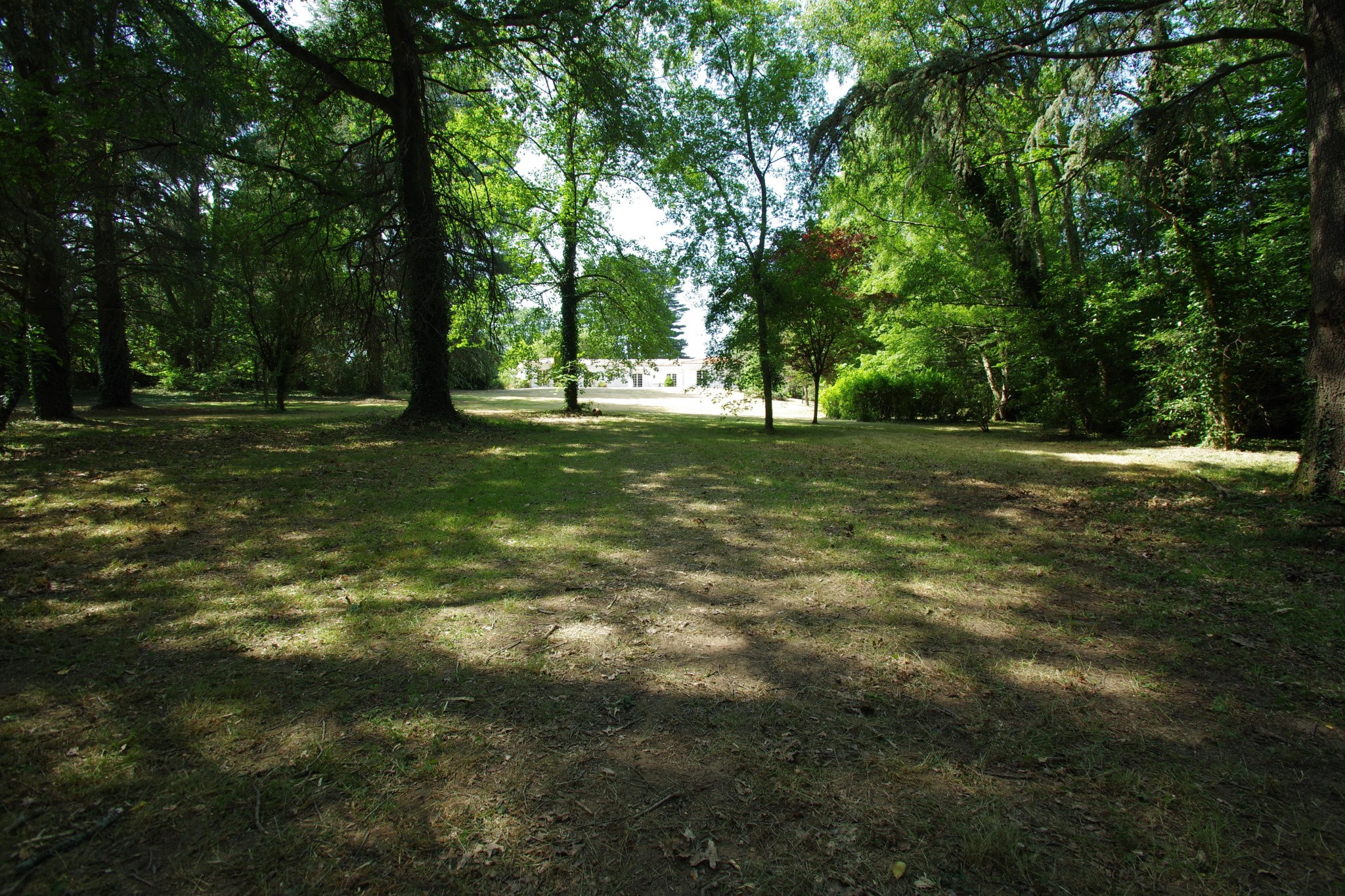 Vente Maison à Basse-Goulaine 10 pièces