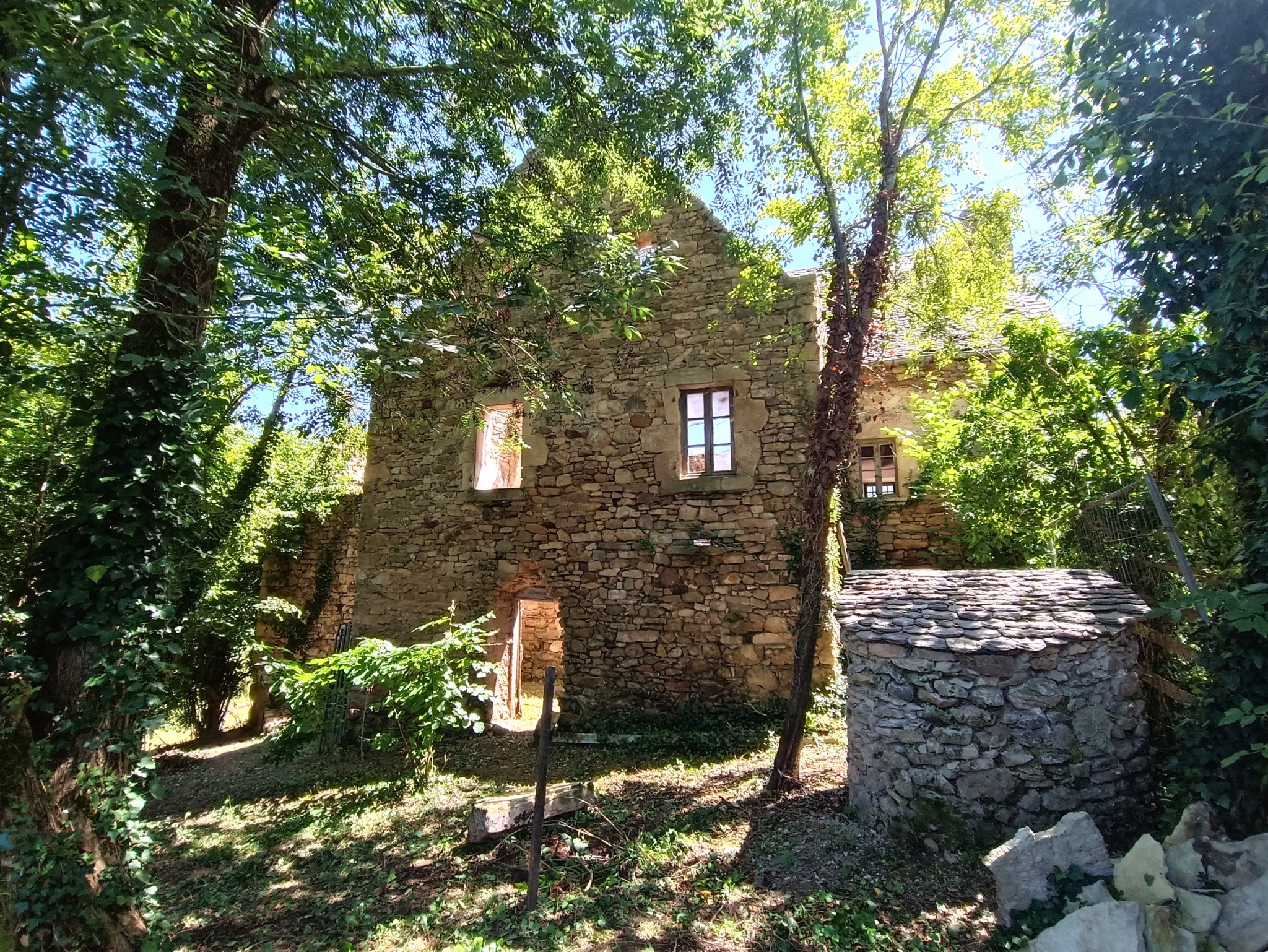 Vente Maison à Anglars-Saint-Félix 1 pièce