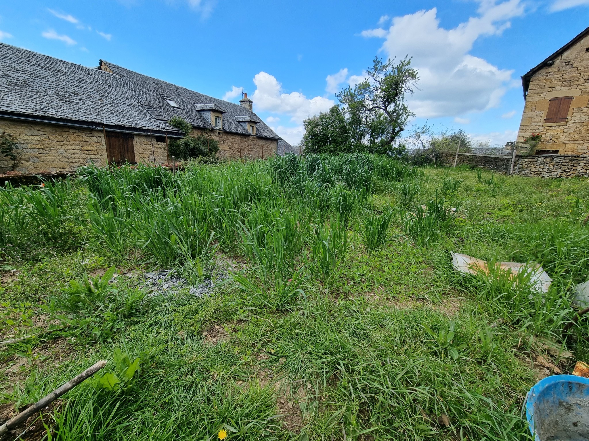 Vente Maison à Saint-Geniez-d'Olt-et-d'Aubrac 0 pièce