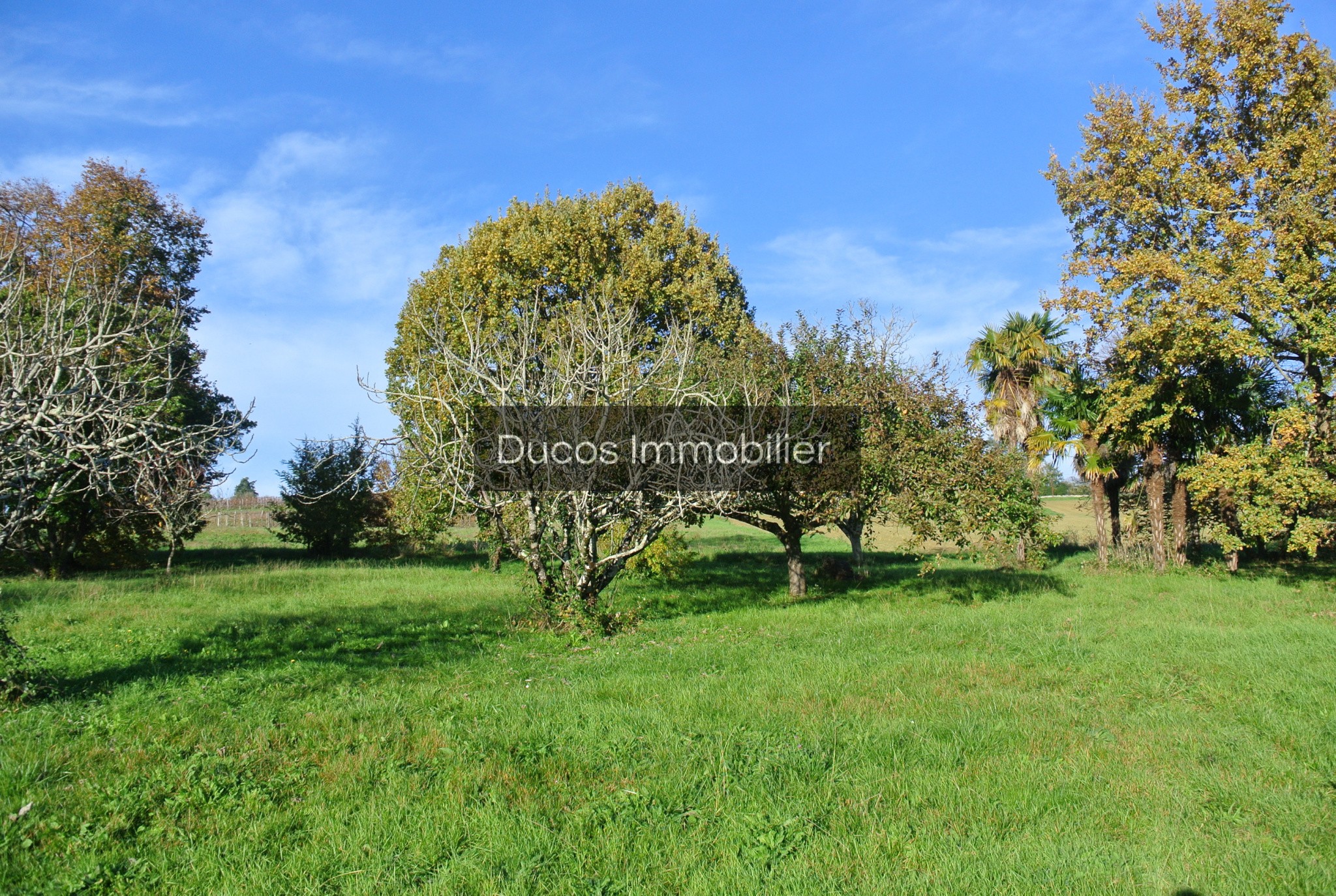 Vente Terrain à Beaupuy 0 pièce