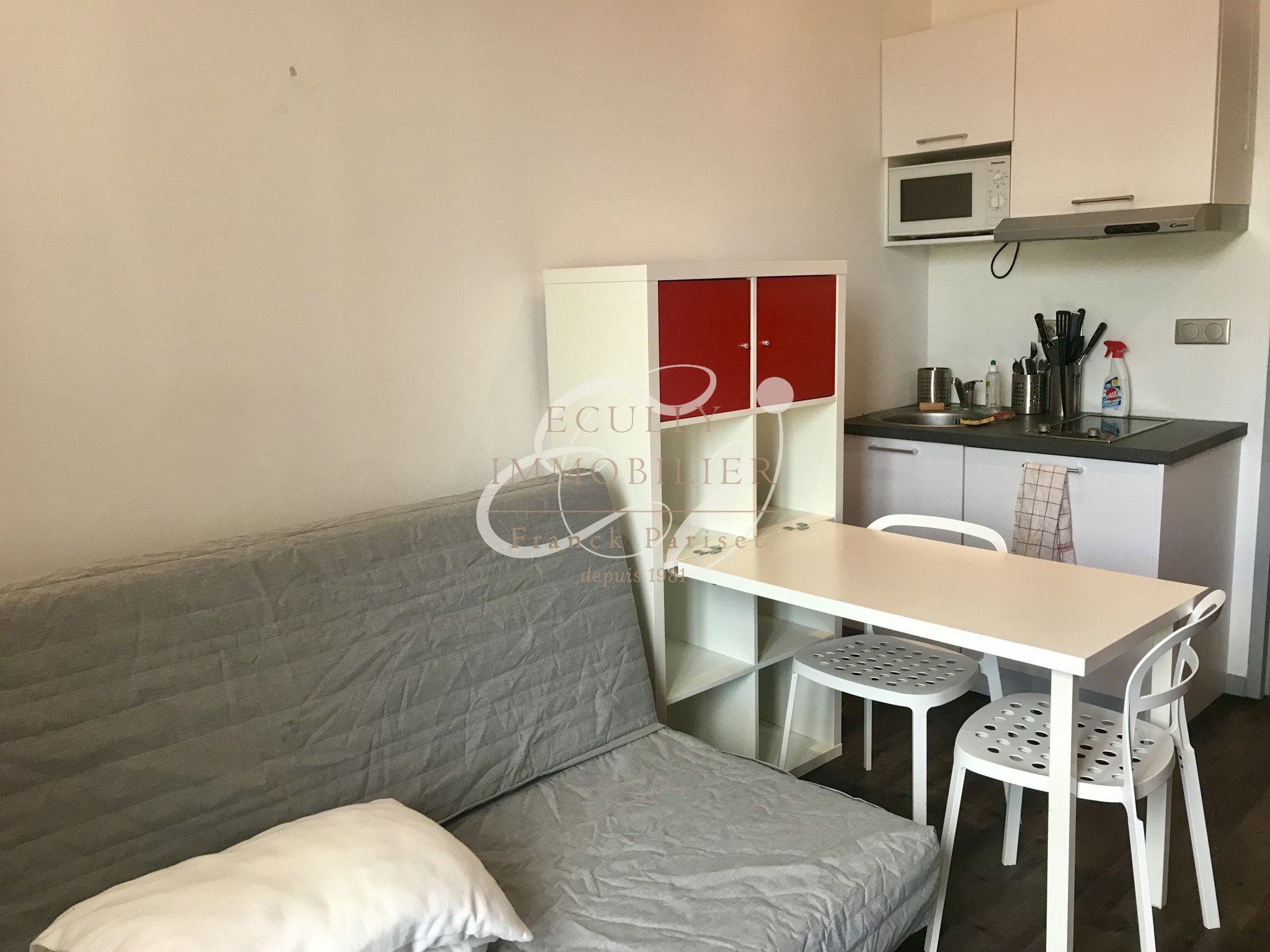 Vente Appartement à Écully 1 pièce