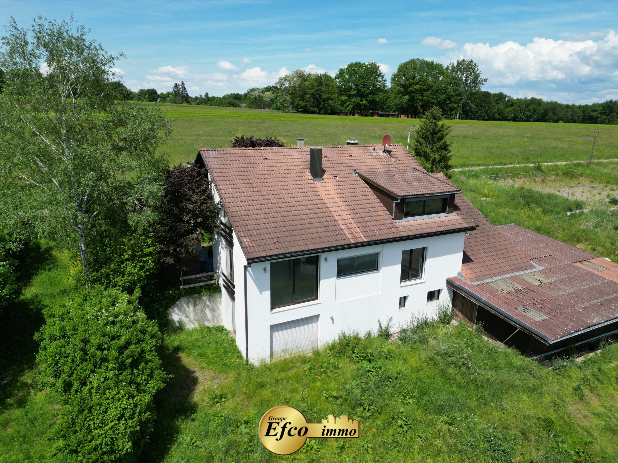 Vente Maison à Hagenthal-le-Bas 8 pièces