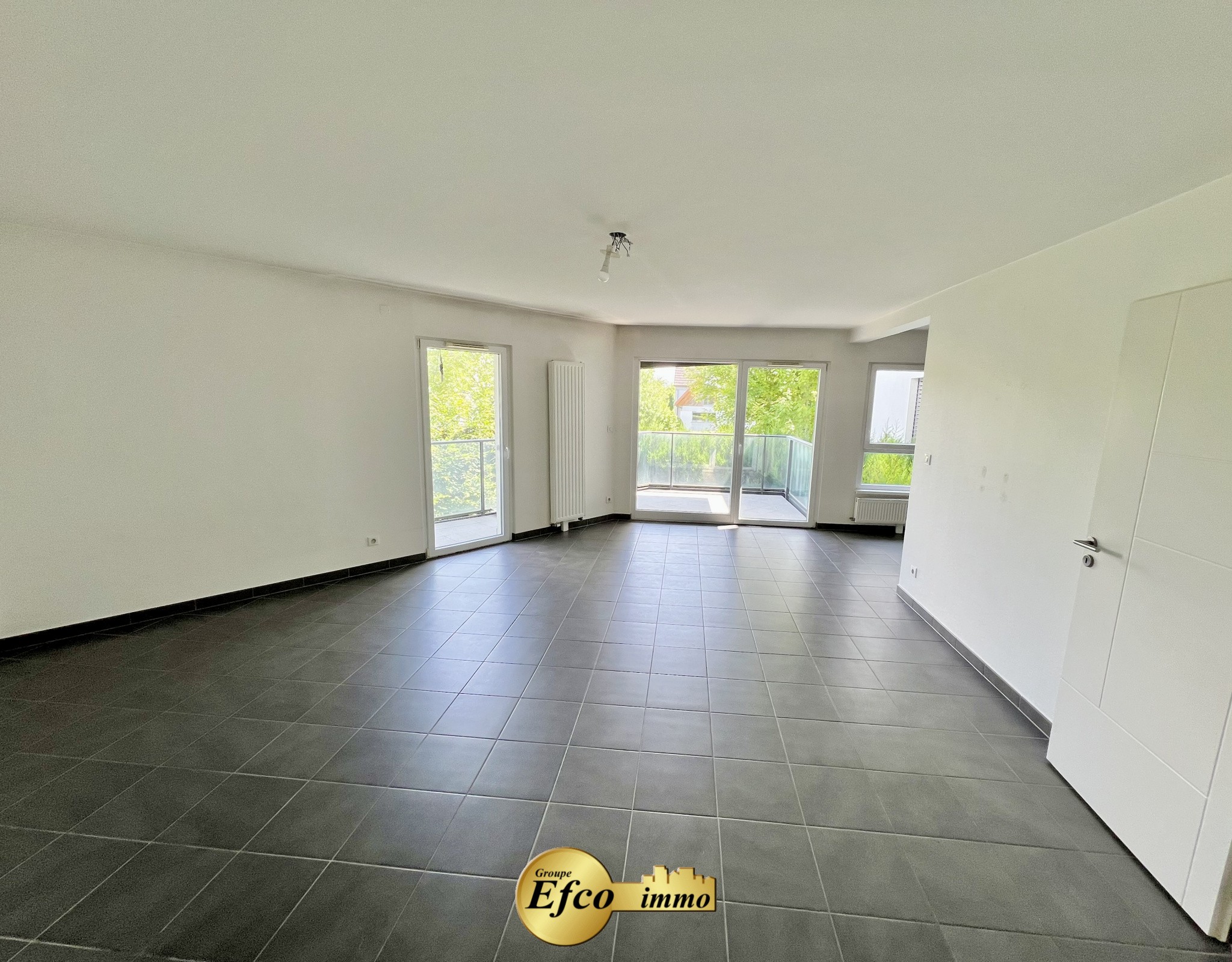 Vente Appartement à Hégenheim 3 pièces