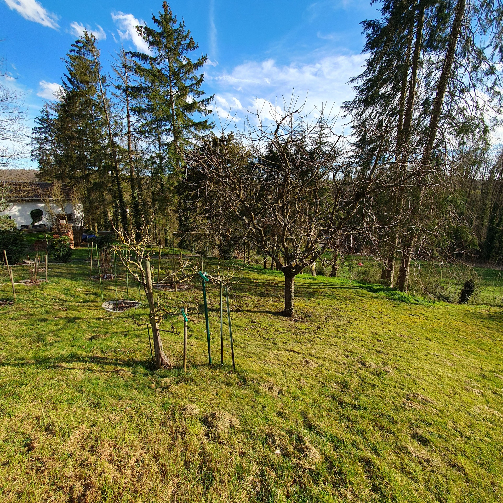 Vente Maison à Steinbrunn-le-Haut 5 pièces