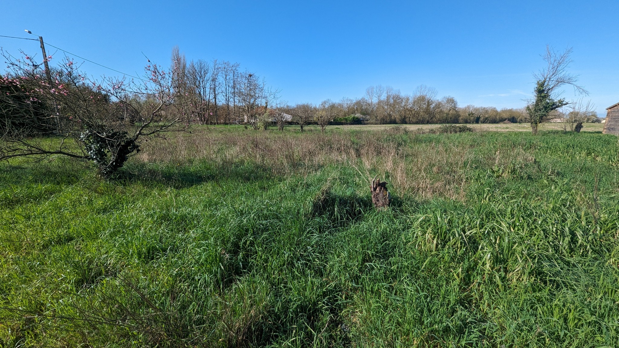 Vente Terrain à Coulon 0 pièce