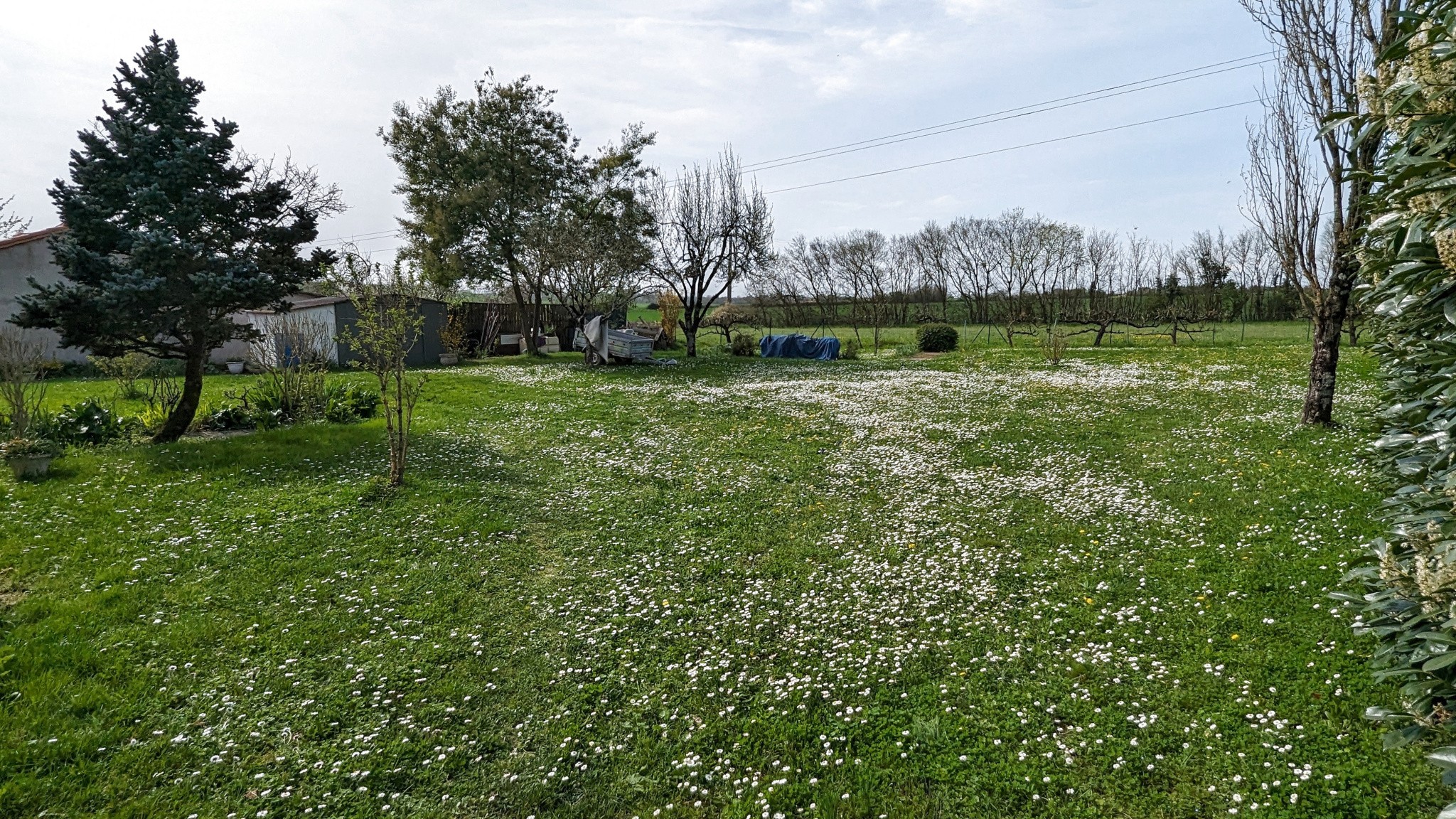 Vente Maison à Coulon 4 pièces