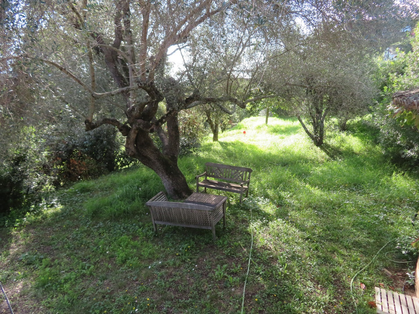 Vente Maison à Porto-Vecchio 4 pièces