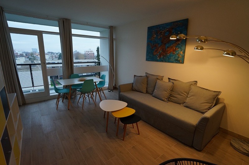 Location Appartement à Lille 1 pièce