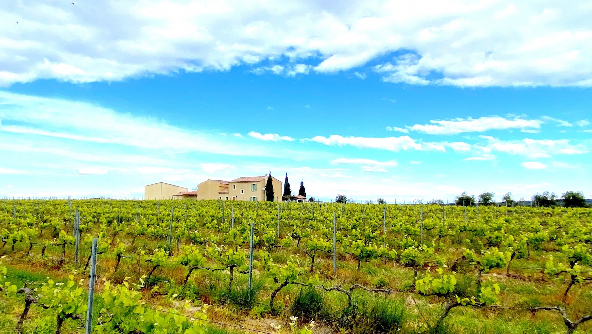 Vente Maison à Uzès 6 pièces