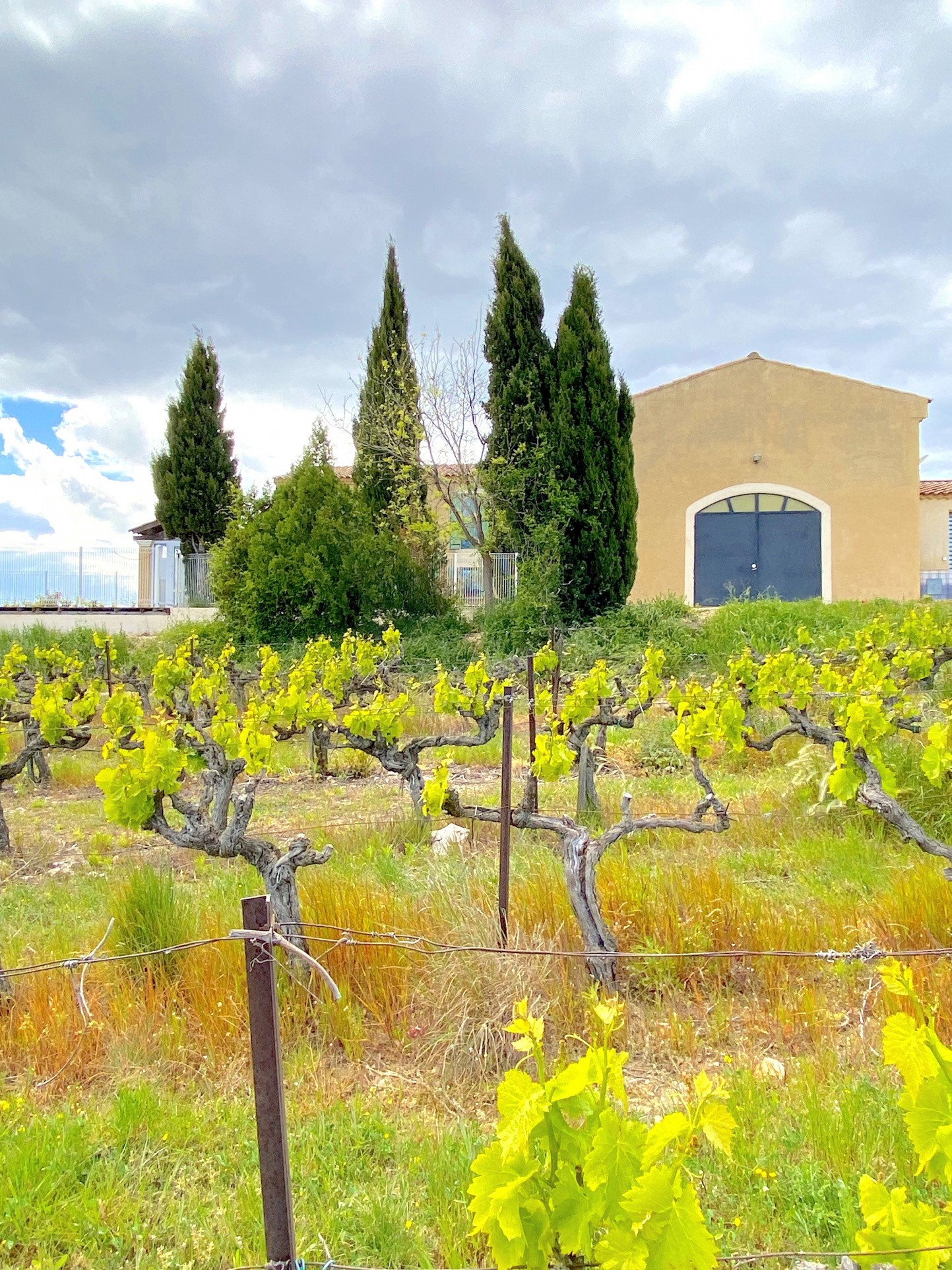 Vente Maison à Uzès 6 pièces