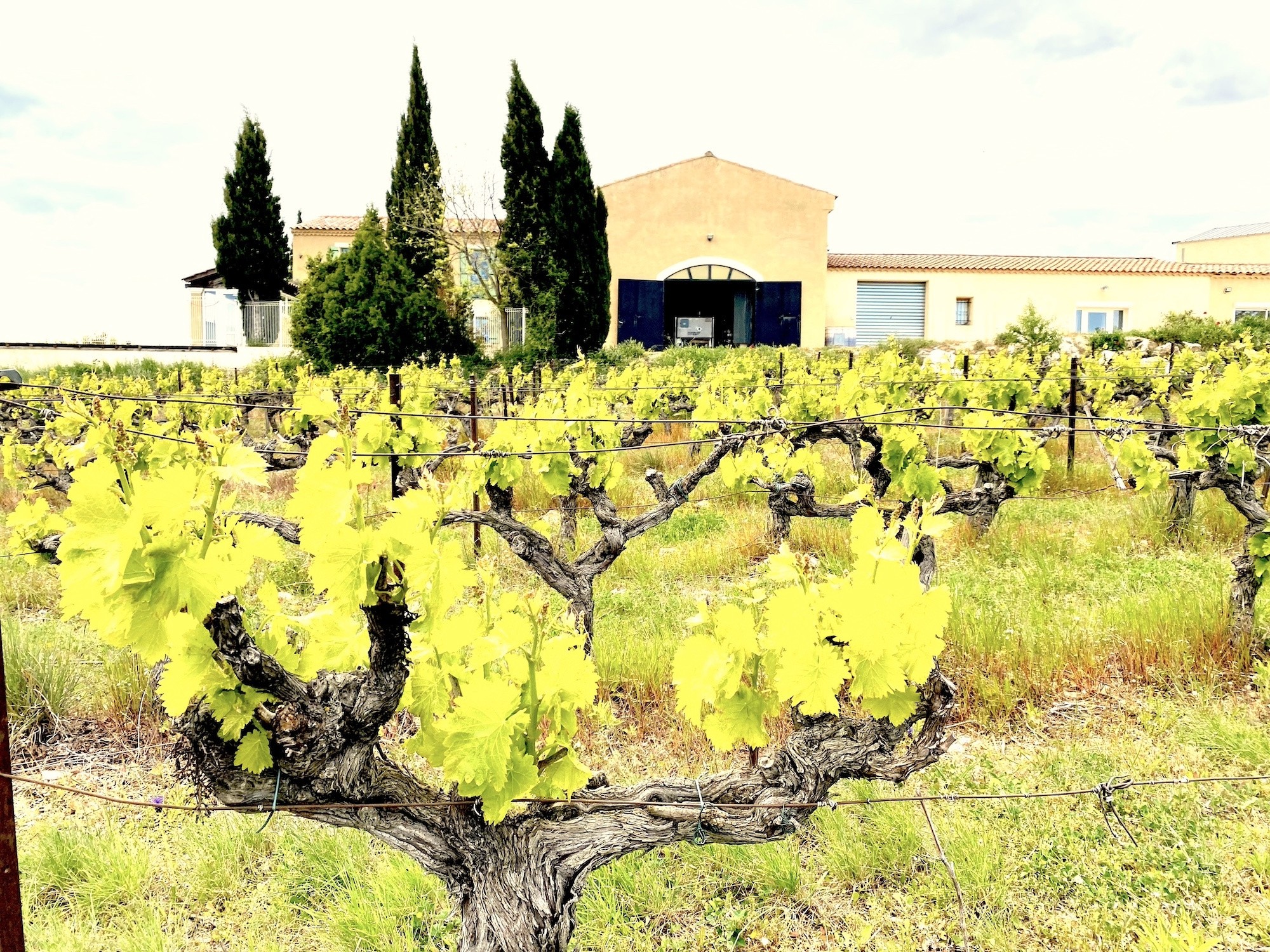 Vente Maison à Uzès 6 pièces