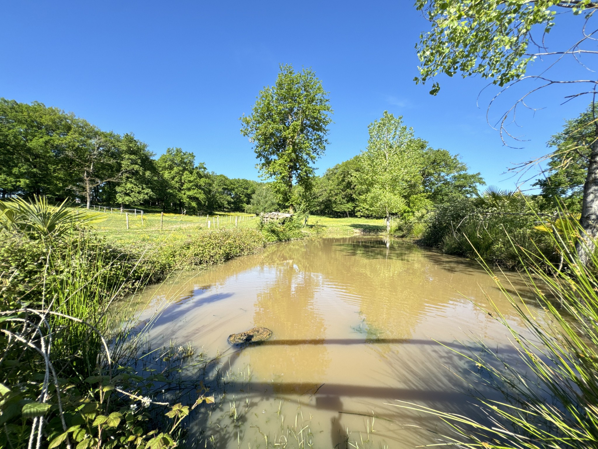 Vente Maison à Saint-Sylvestre-sur-Lot 9 pièces