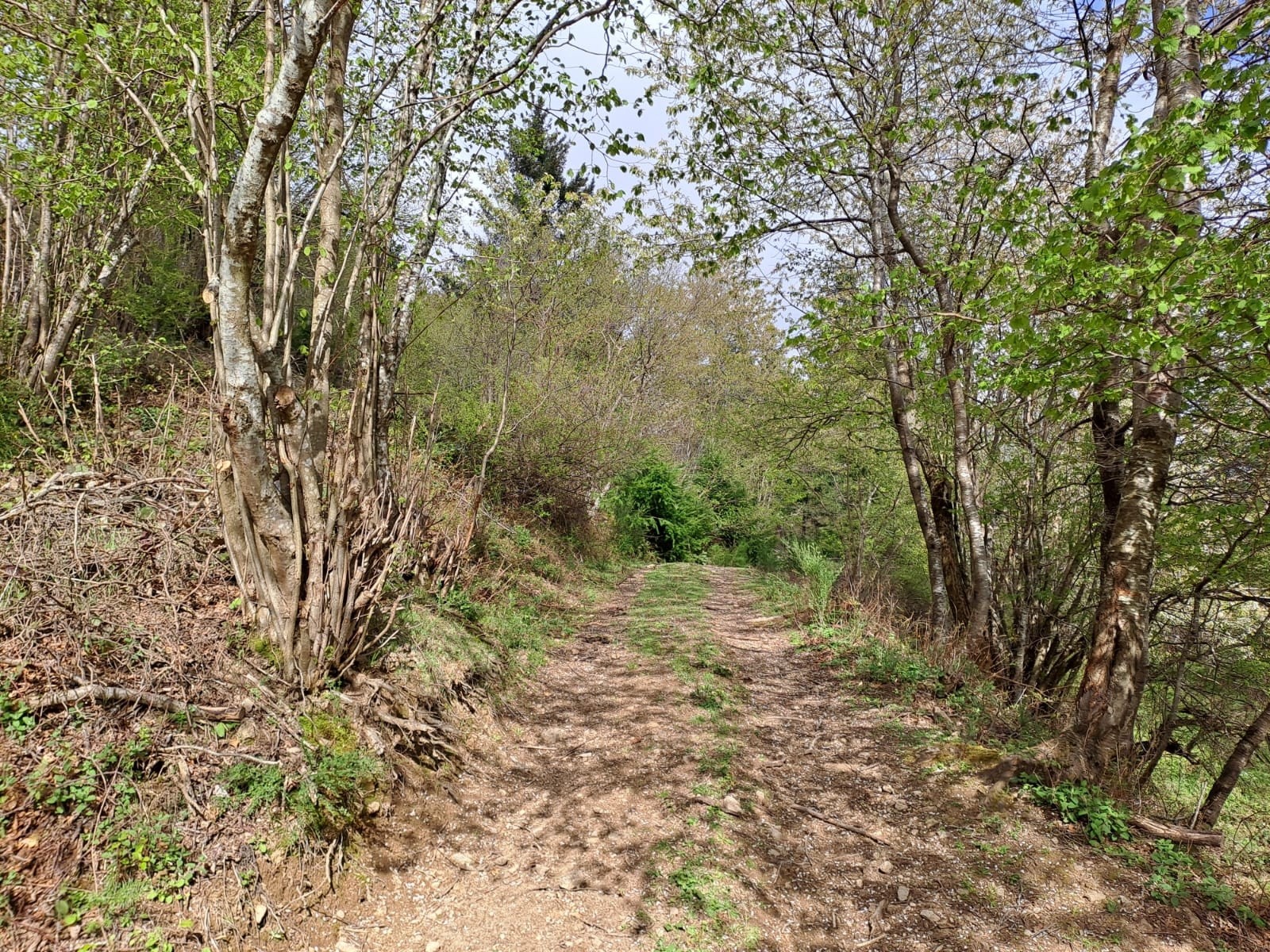 Vente Maison à Saint-Félicien 9 pièces