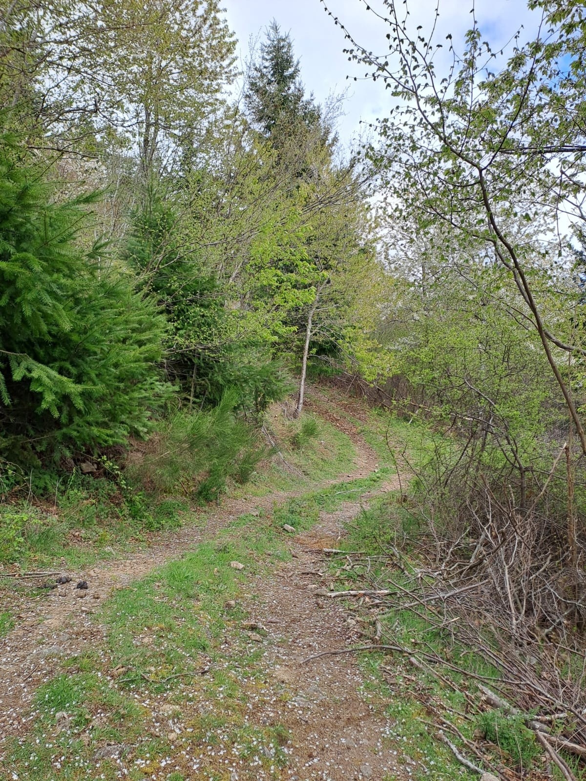 Vente Maison à Saint-Félicien 9 pièces