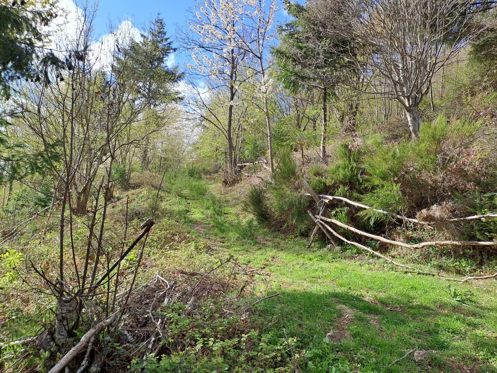 Vente Maison à Saint-Félicien 9 pièces