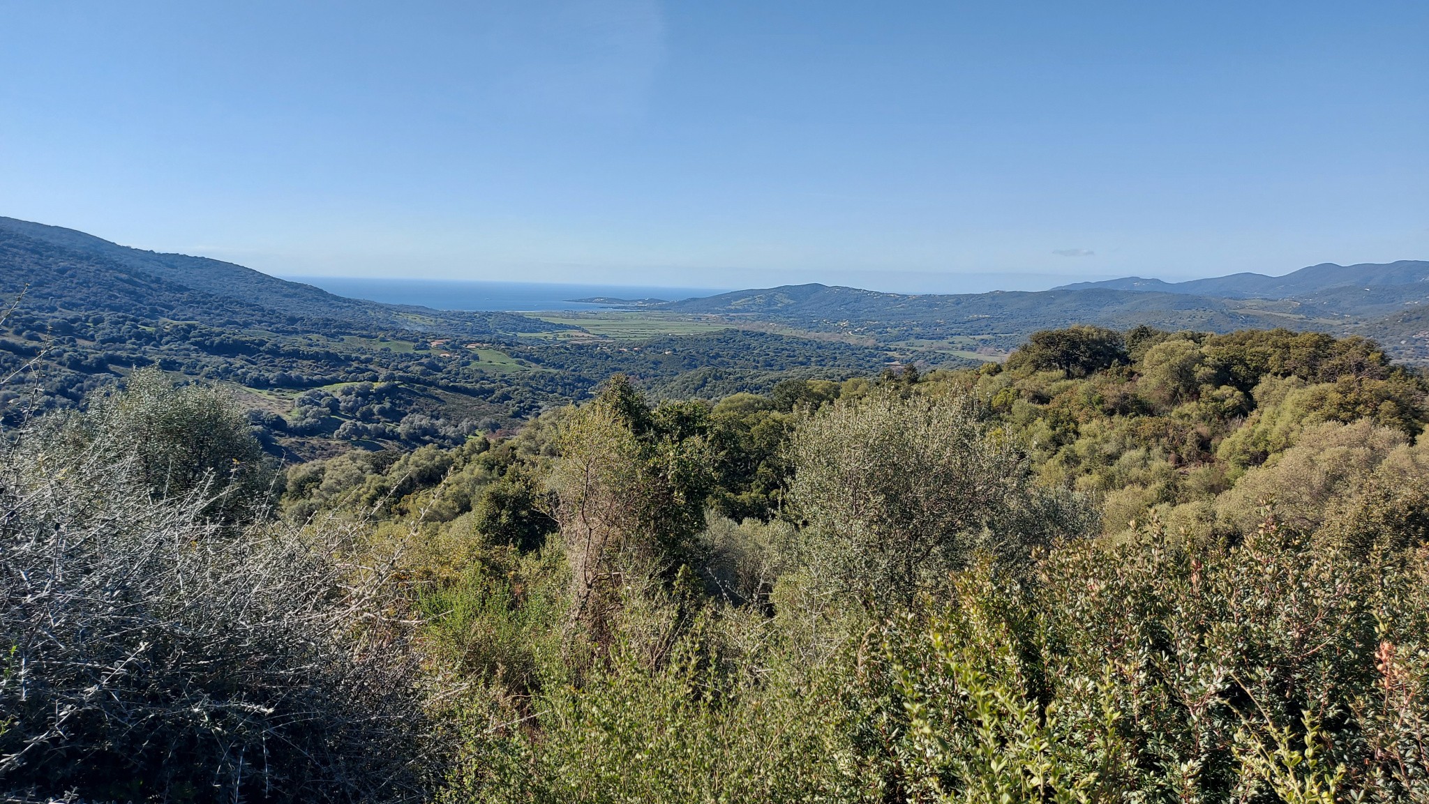 Vente Maison à Sollacaro 15 pièces