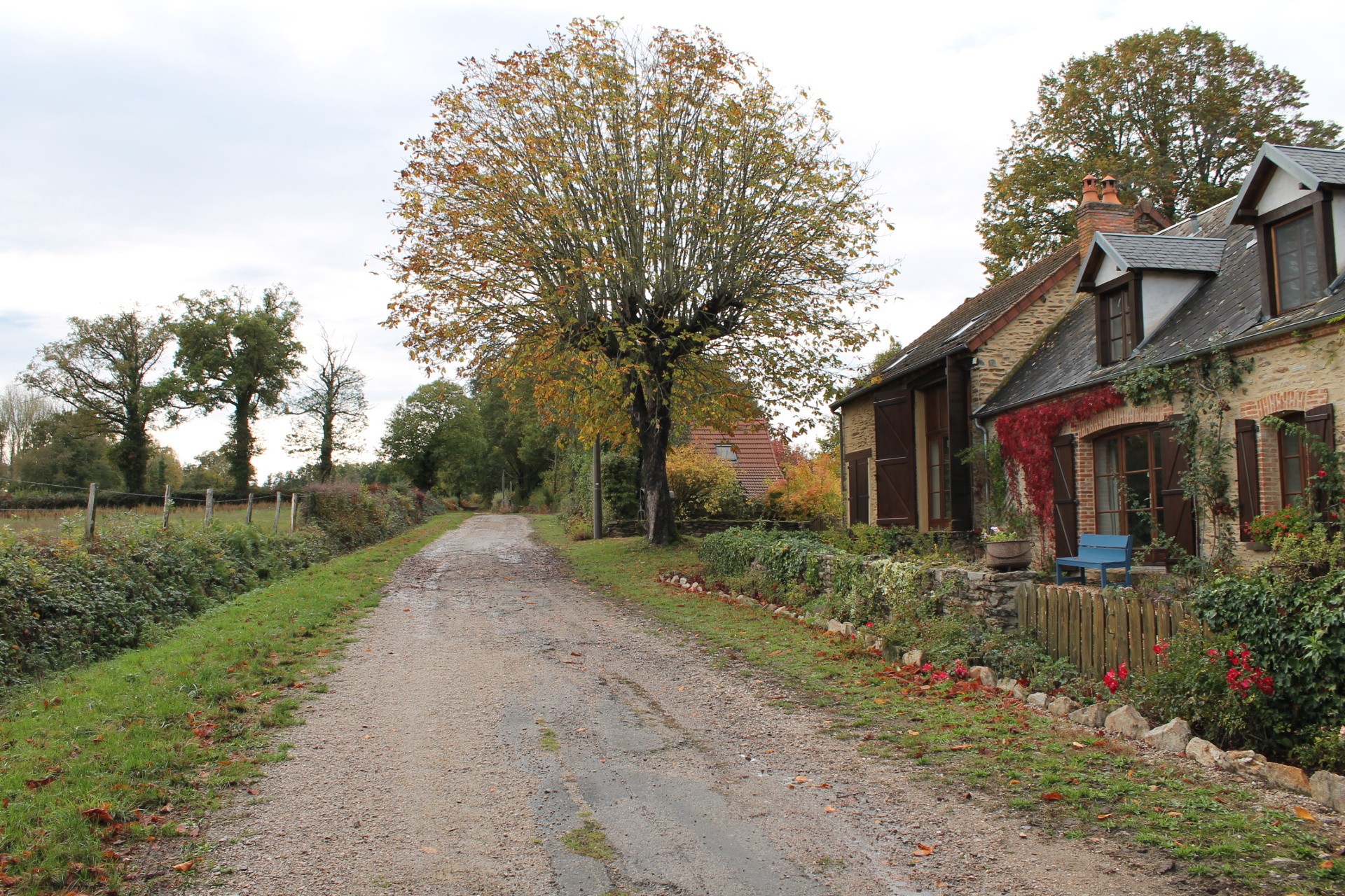 Vente Maison à Préveranges 8 pièces