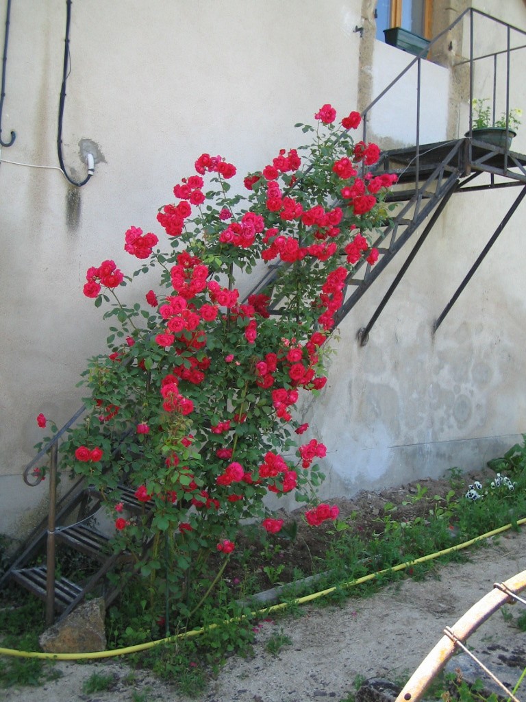 Vente Maison à Saint-Caprais 4 pièces