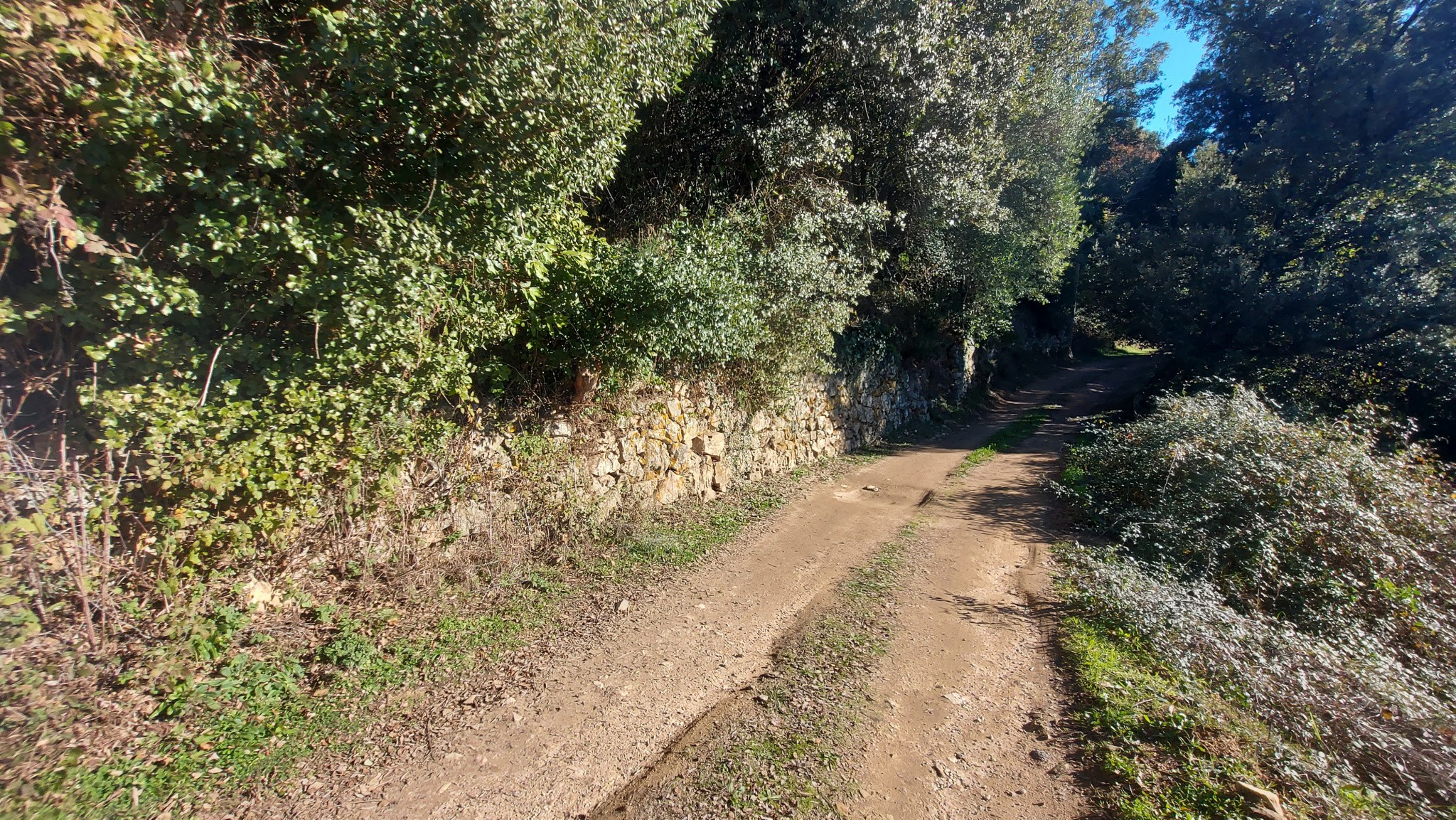 Vente Terrain à Vico 0 pièce