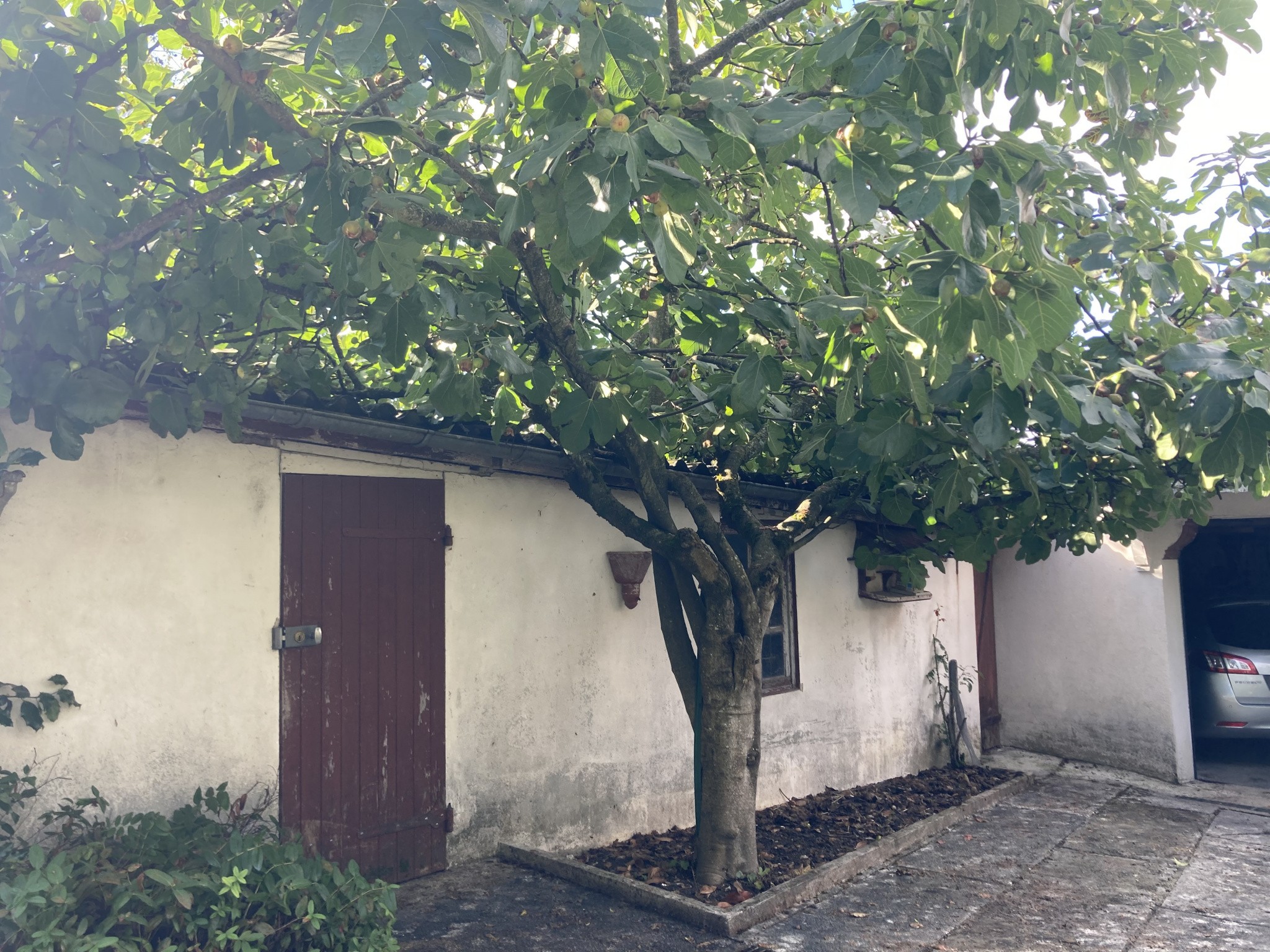 Vente Maison à Ambérieu-en-Bugey 5 pièces