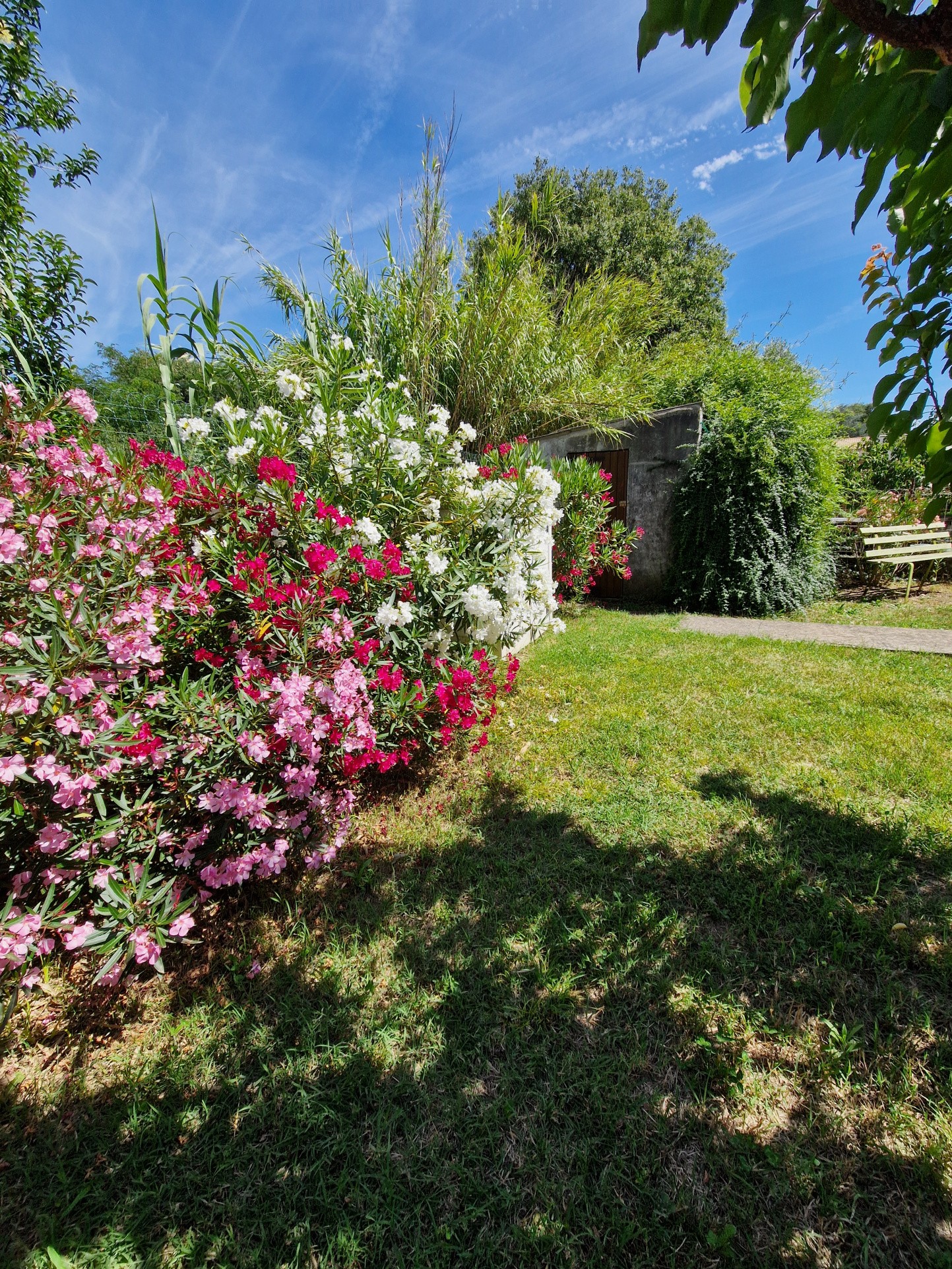 Vente Maison à Alès 5 pièces