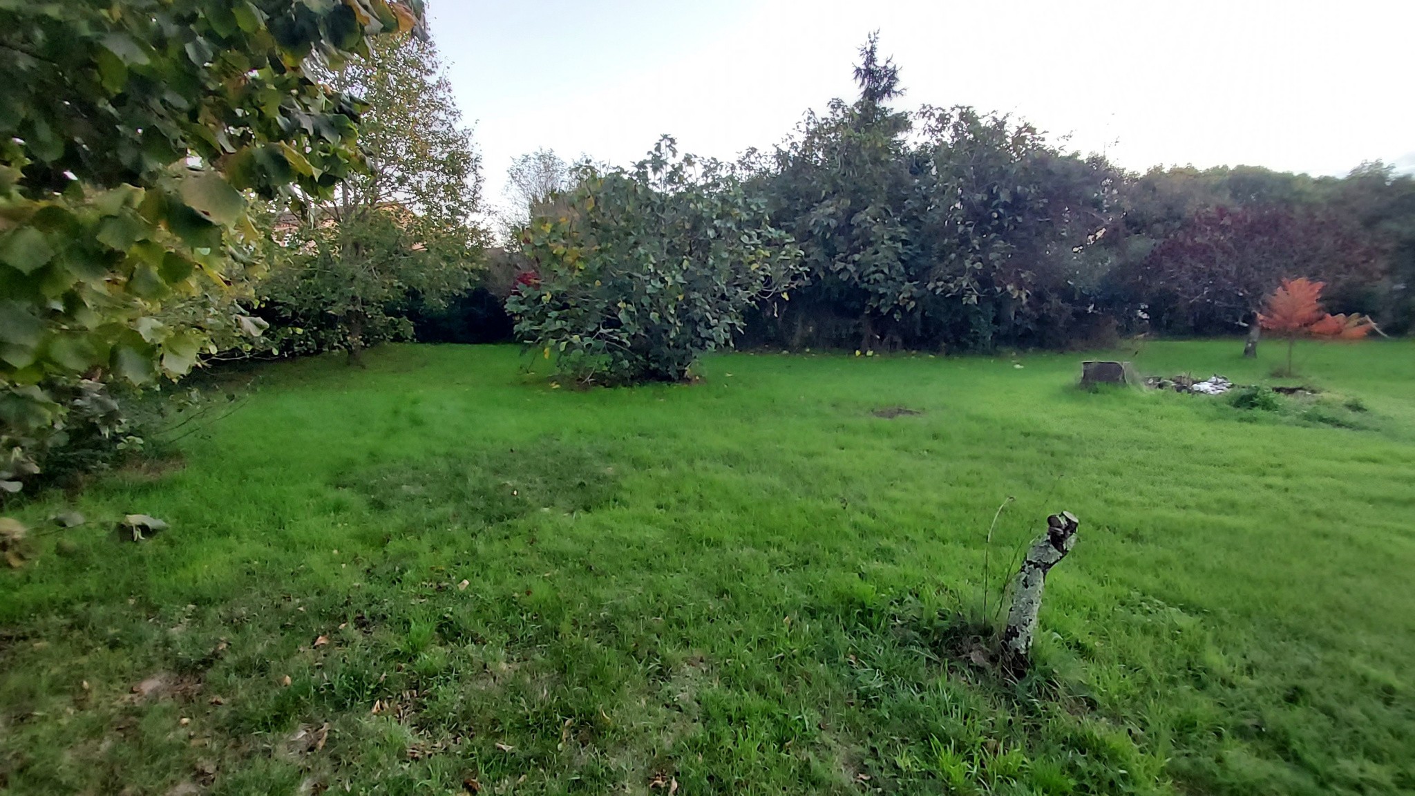 Vente Terrain à Cintegabelle 0 pièce