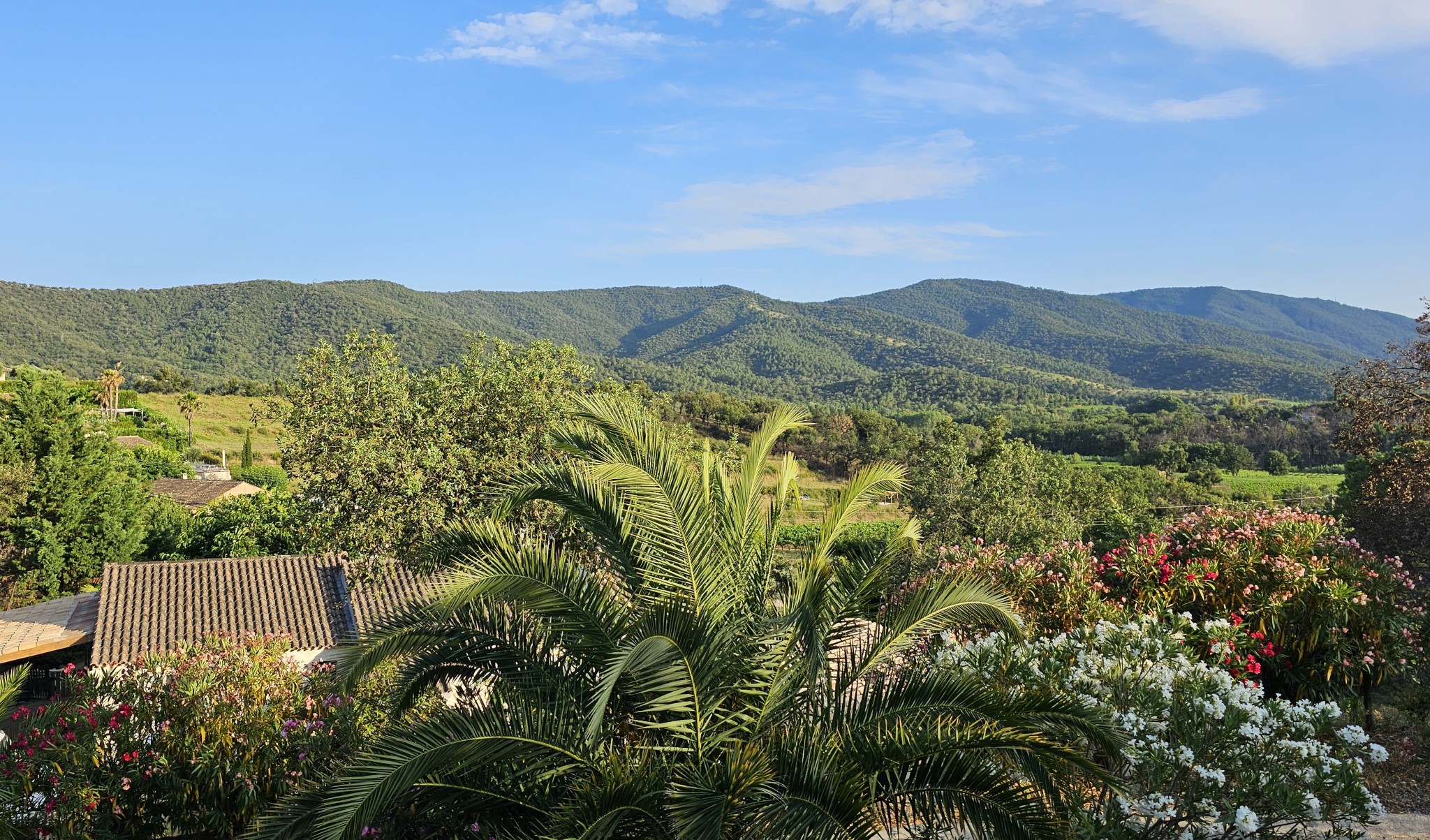 Vente Maison à Cogolin 7 pièces