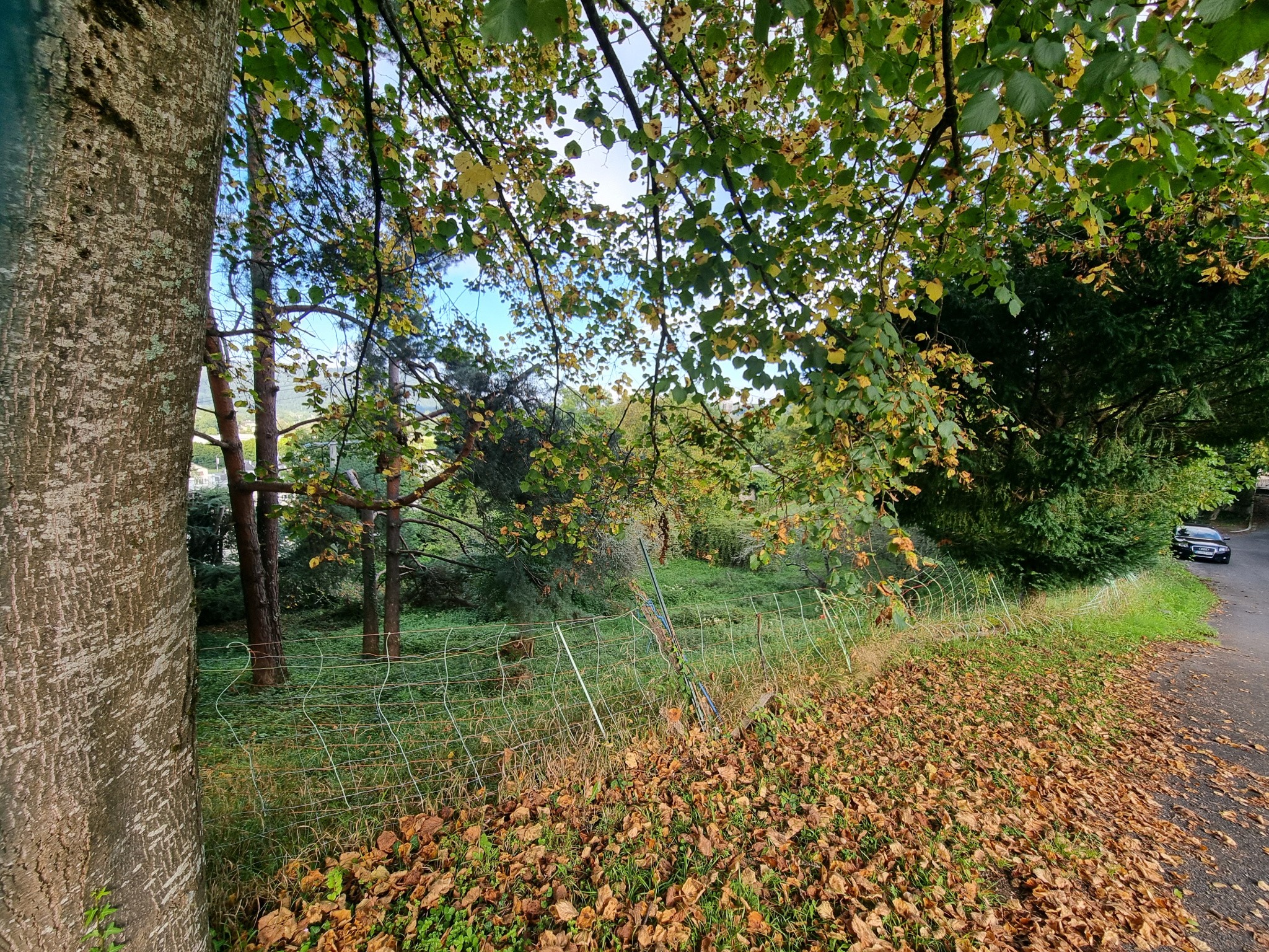 Vente Terrain à Bagnères-de-Bigorre 0 pièce