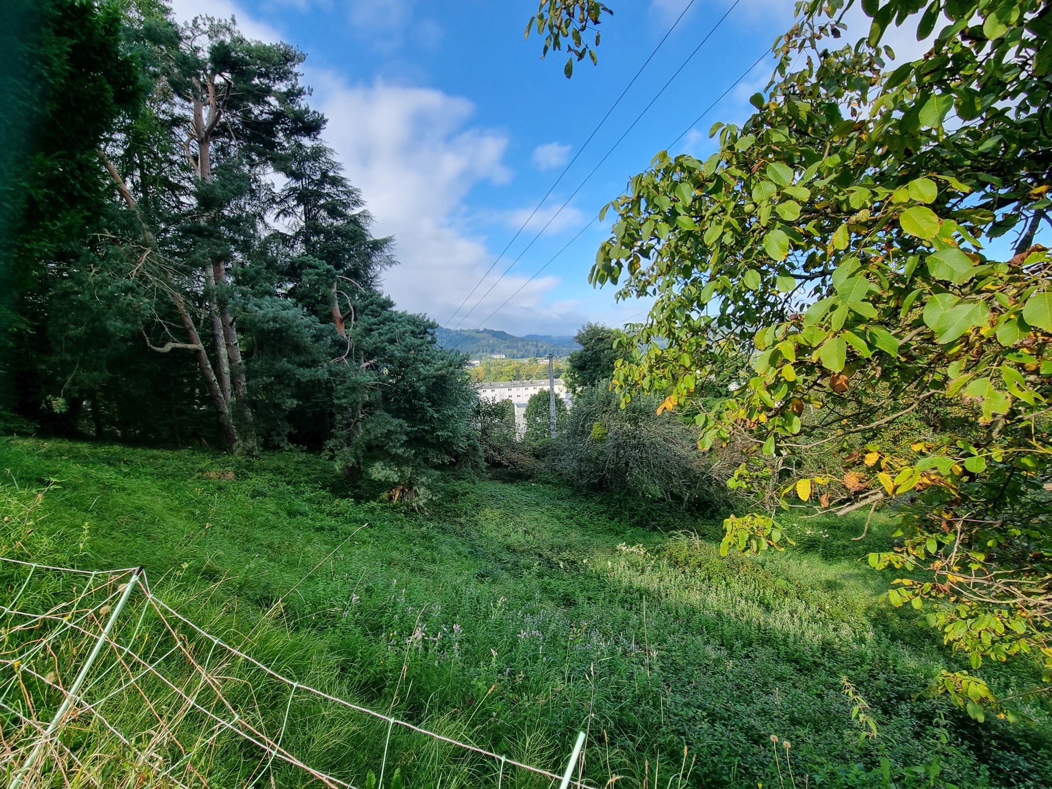 Vente Terrain à Bagnères-de-Bigorre 0 pièce