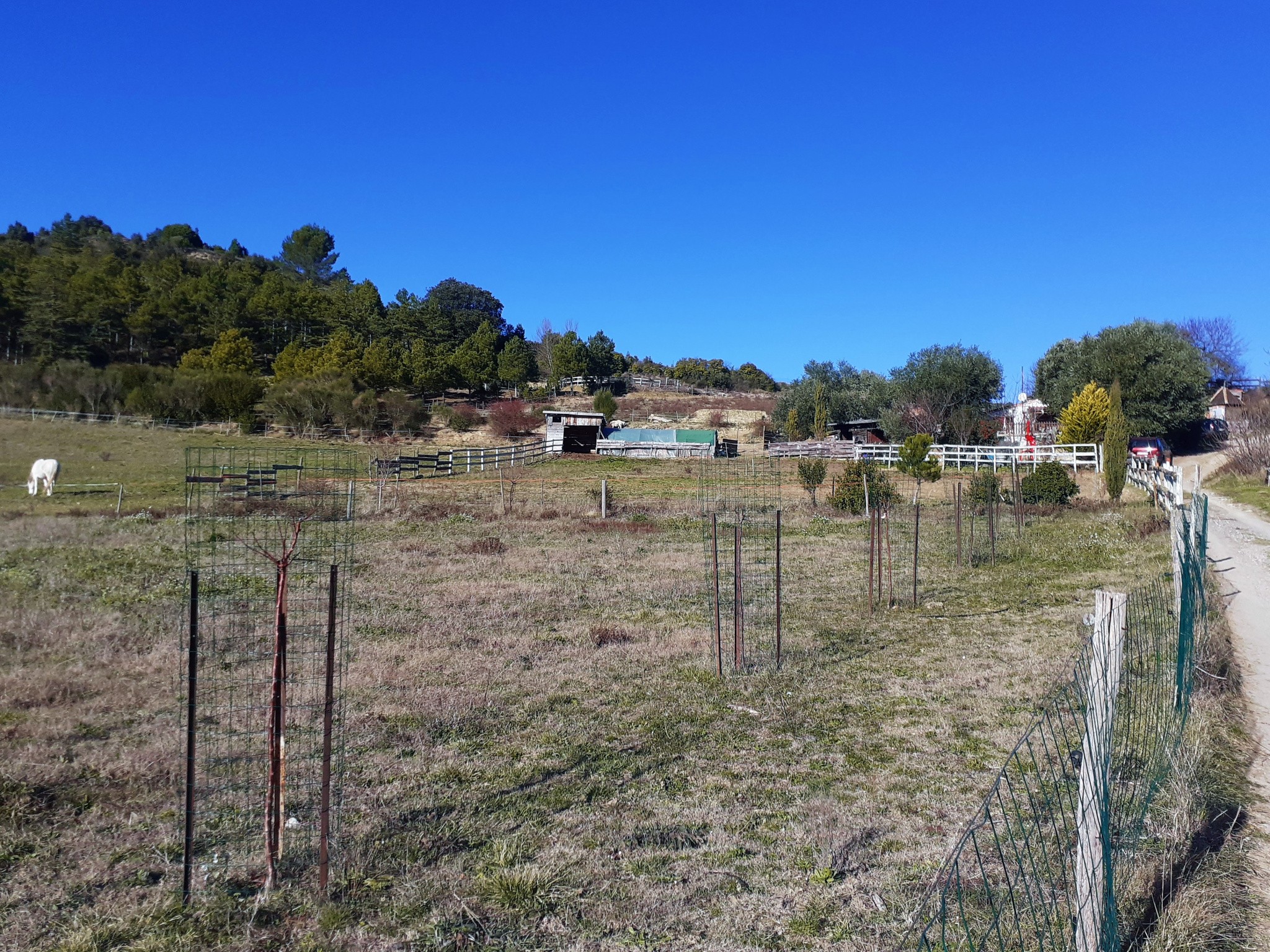 Vente Terrain à Limoux 0 pièce