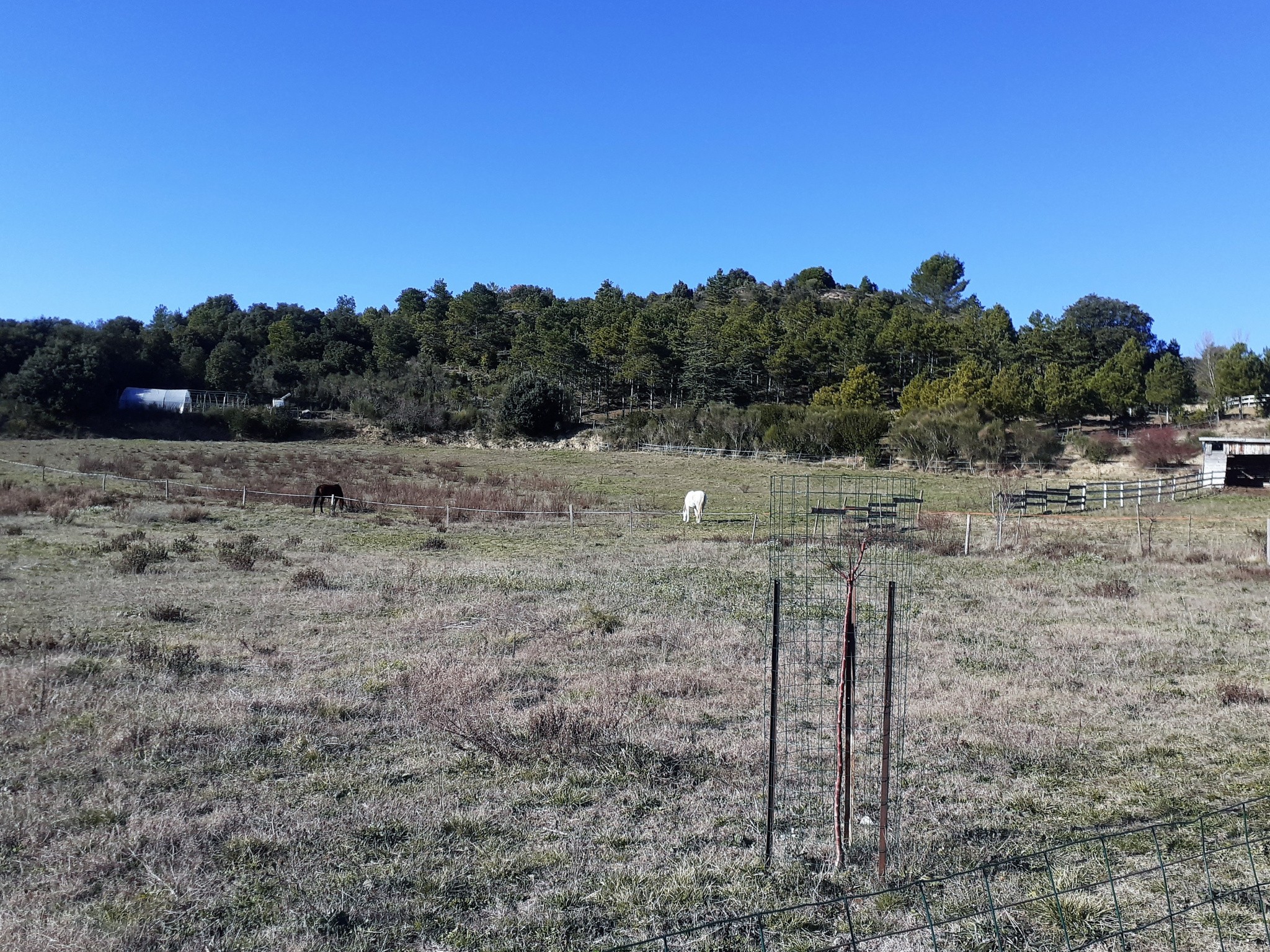 Vente Terrain à Limoux 0 pièce