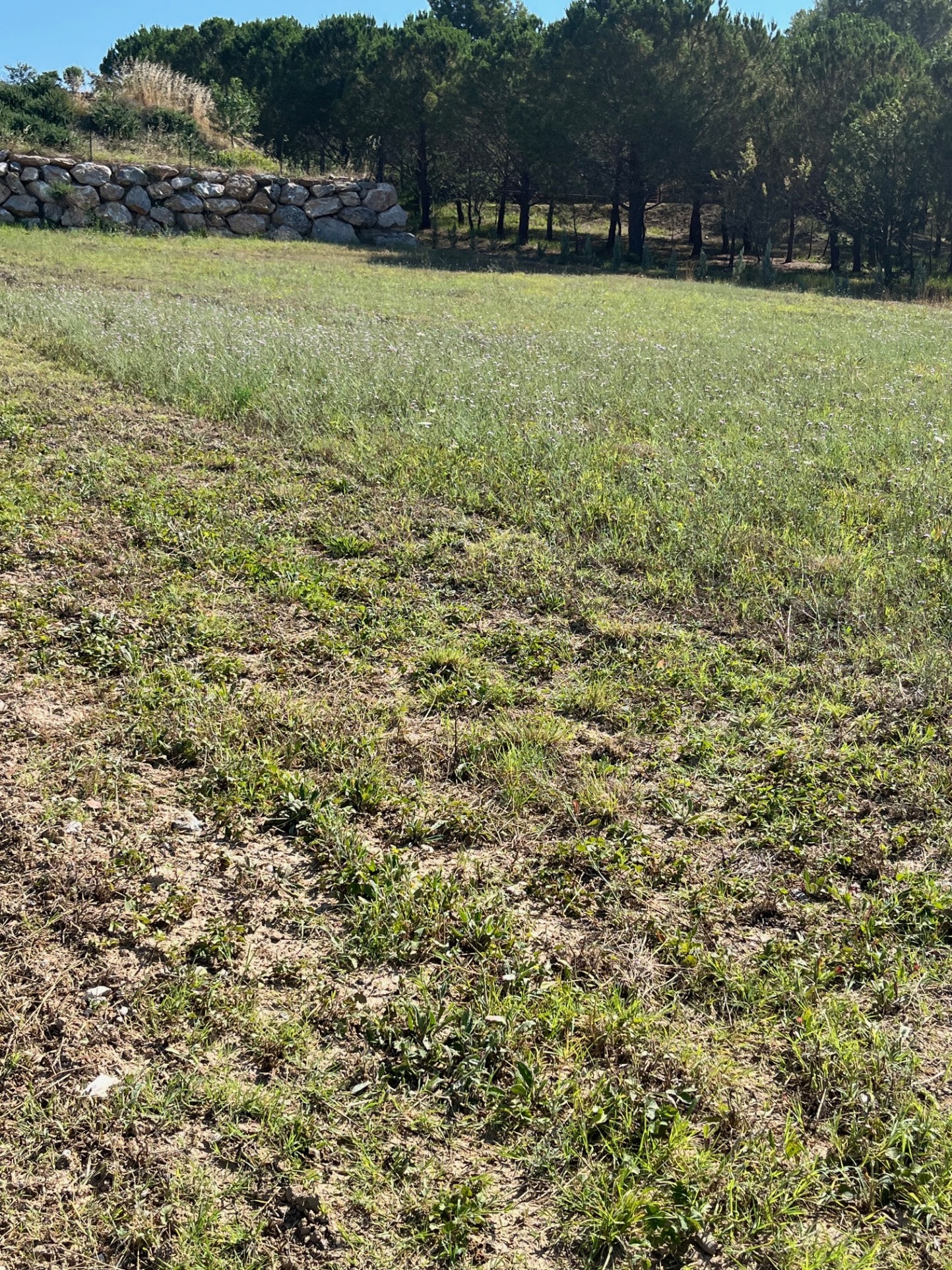 Vente Terrain à Limoux 0 pièce