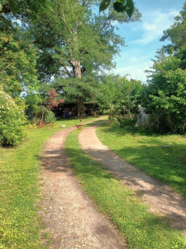 Vente Maison à Bazas 7 pièces