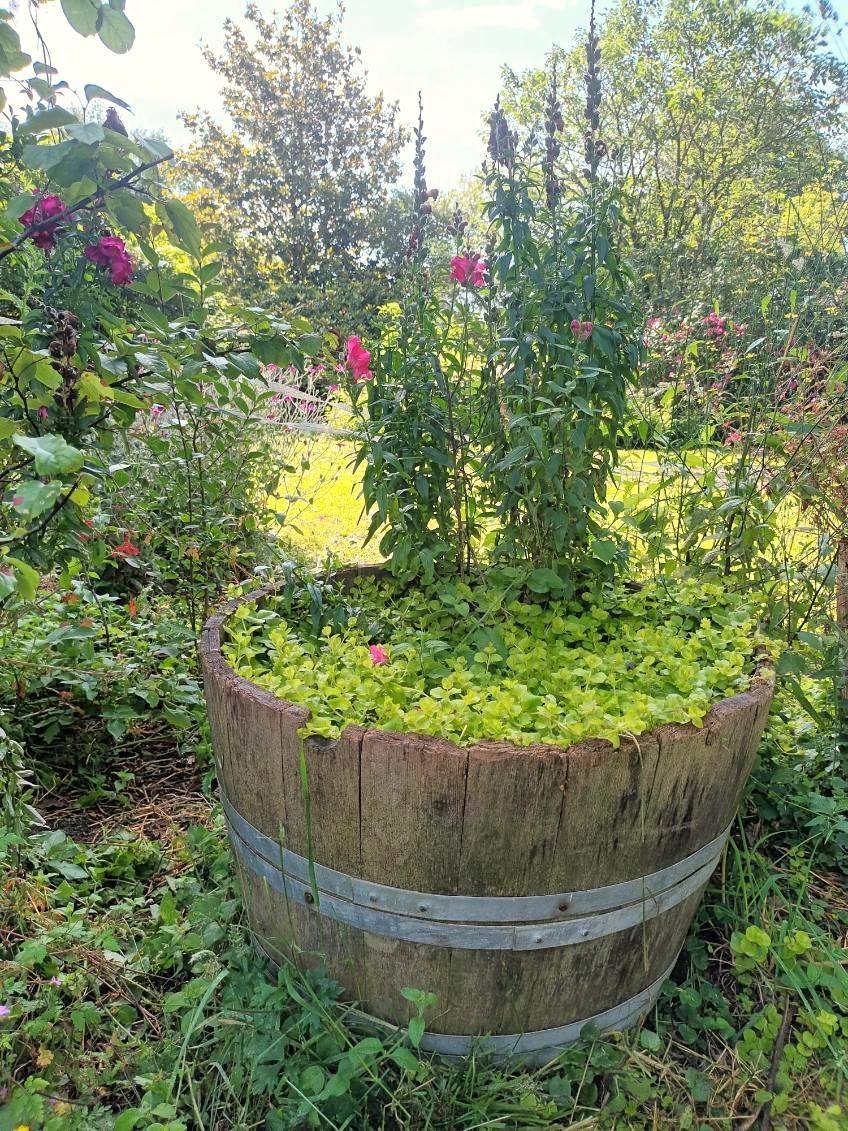 Vente Maison à Bazas 7 pièces