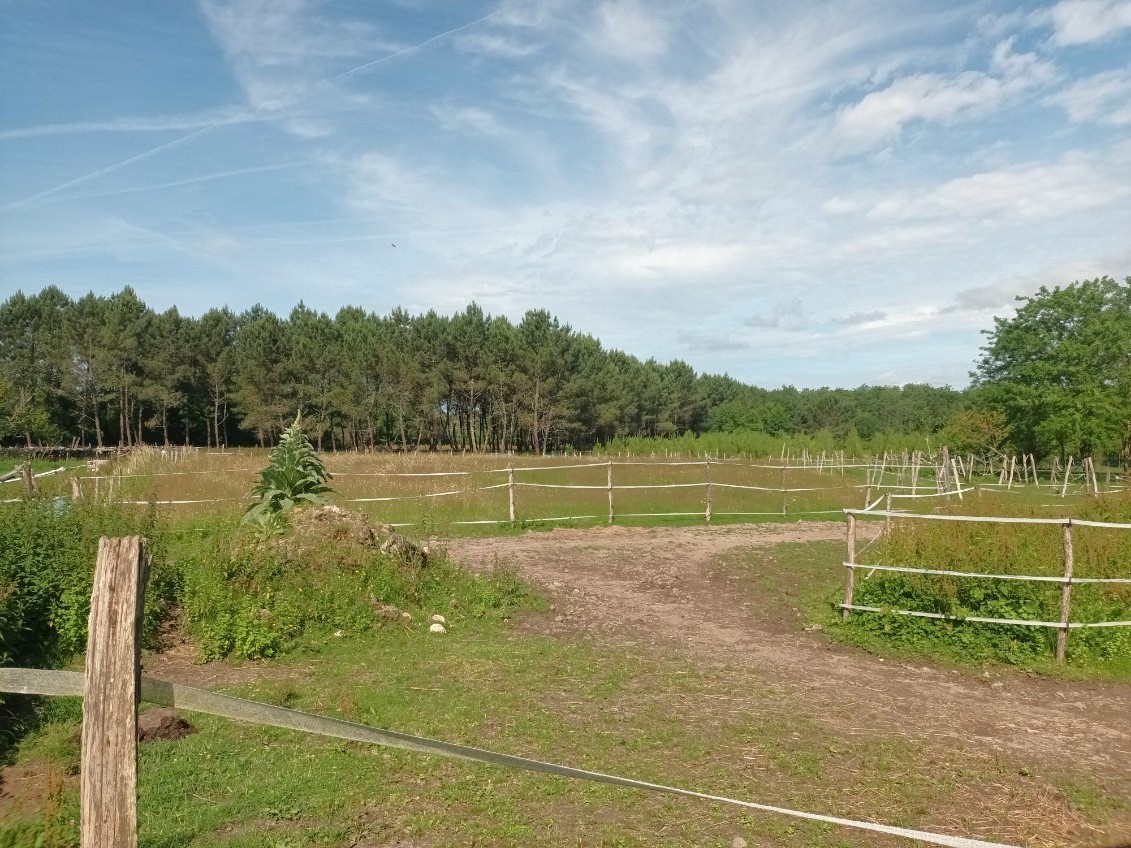 Vente Maison à Bazas 7 pièces